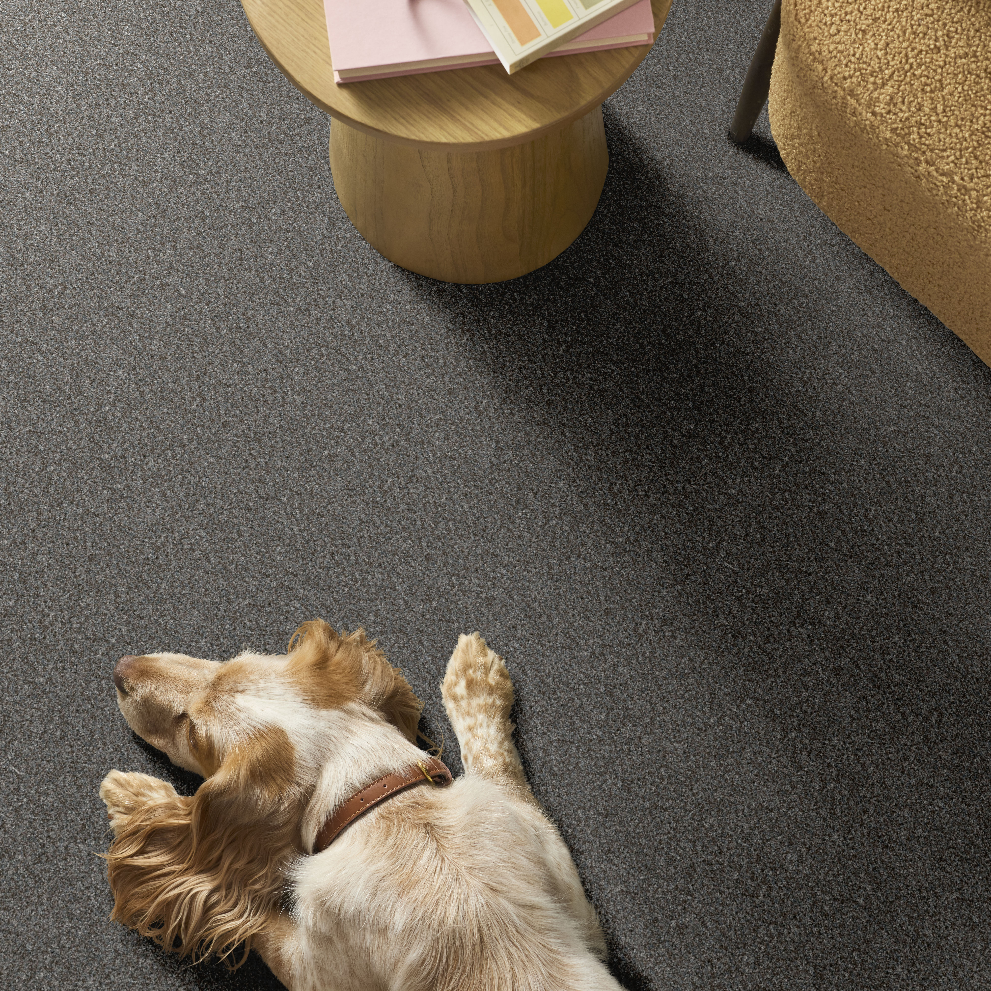 YES YOU CAN III 12' SEA ICE ROOM