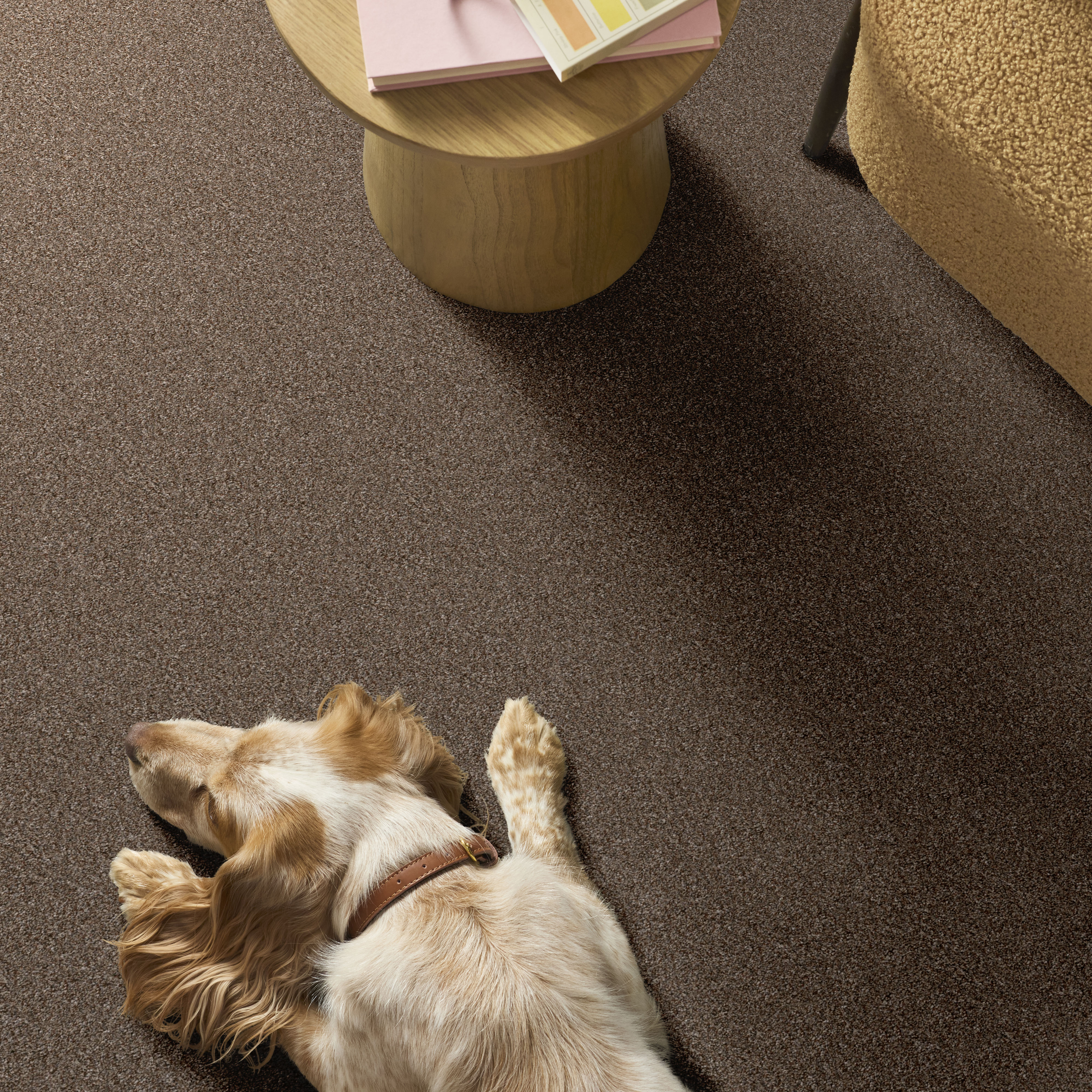 YES YOU CAN III 12' WORN PATH ROOM