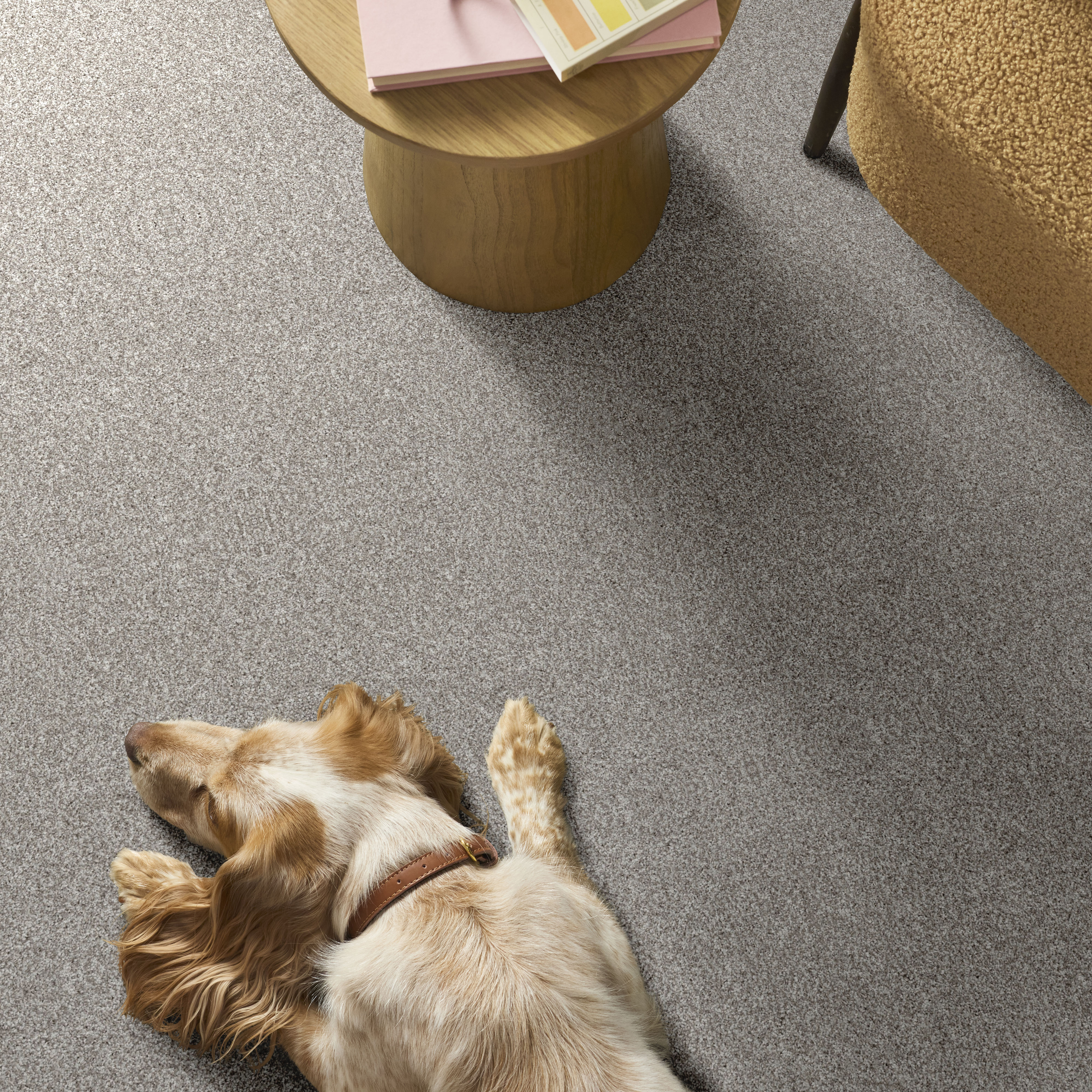 YES YOU CAN I 15' FROZEN ROOM