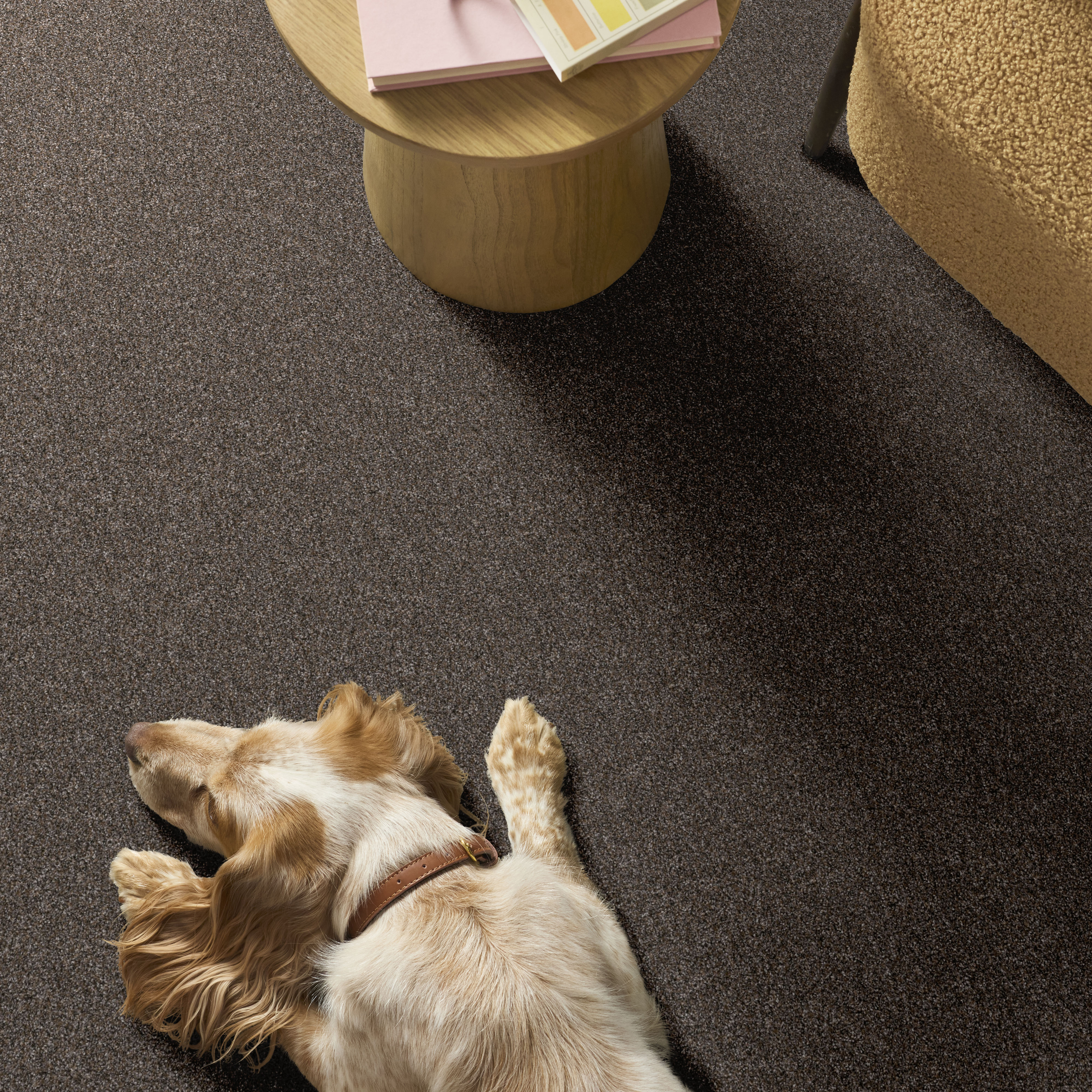 YES YOU CAN I 15' CAFE NOIR ROOM