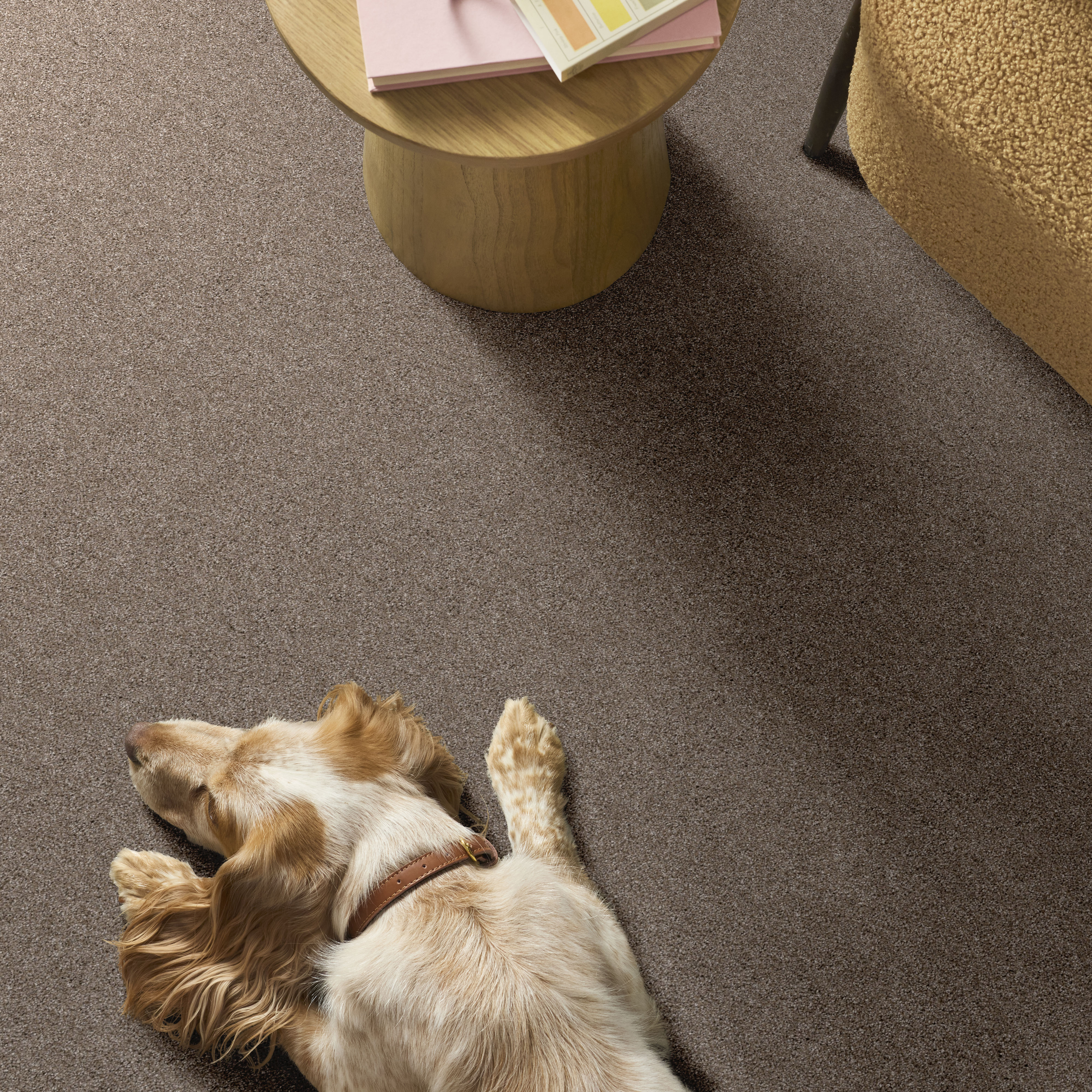 YES YOU CAN III 15' CAMEO ROOM