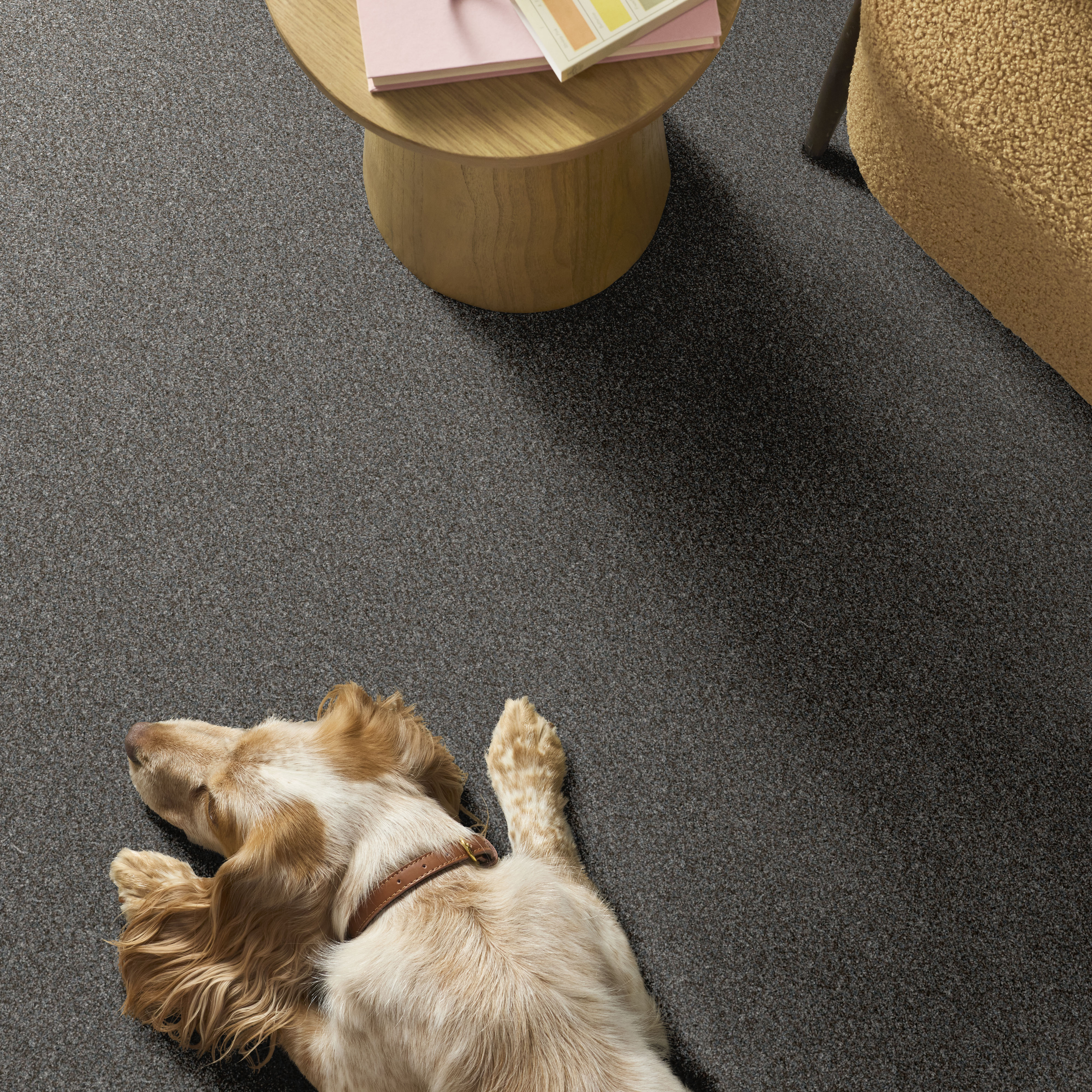 YES YOU CAN III 15' SEA ICE ROOM