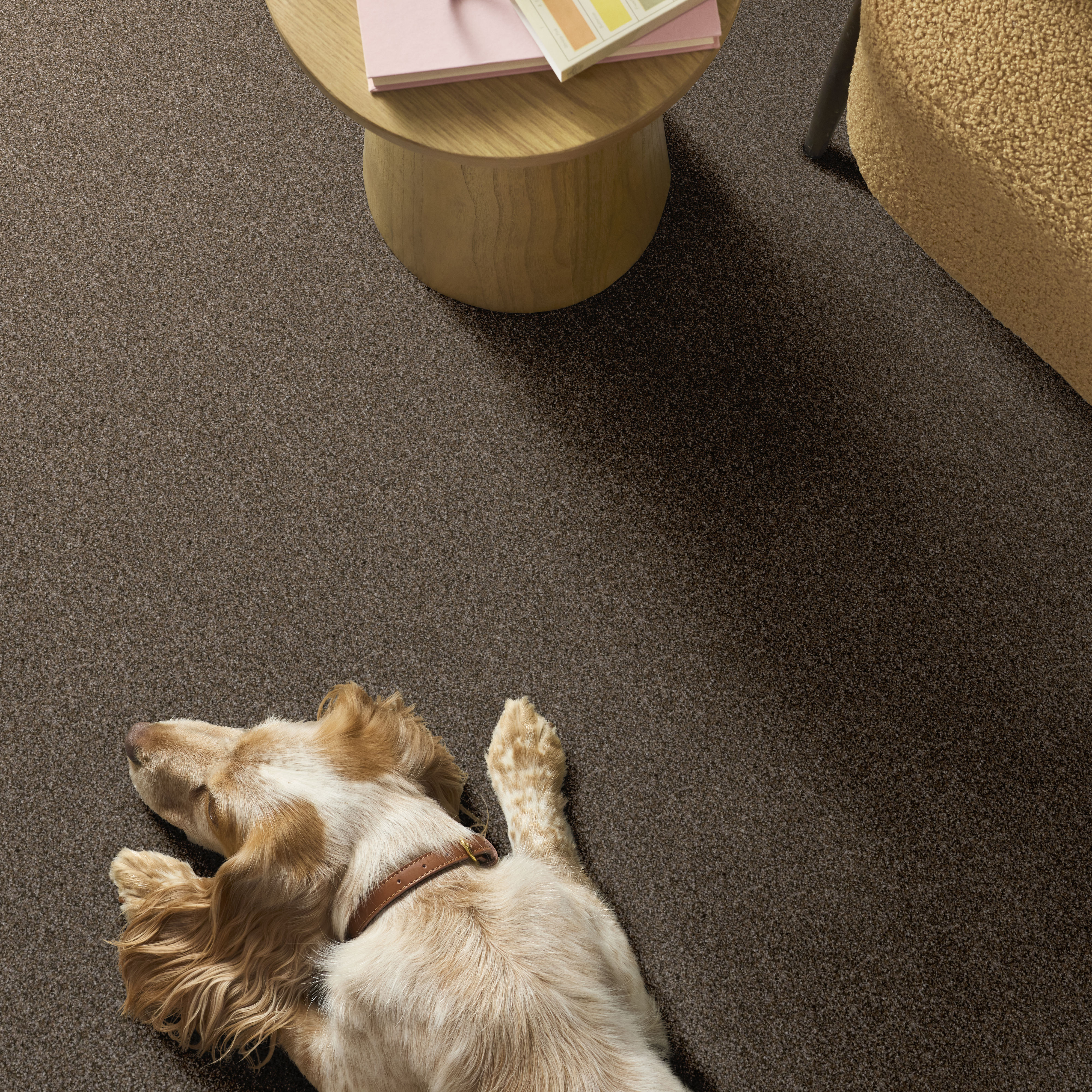 YES YOU CAN III 15' MISSION RIDGE ROOM