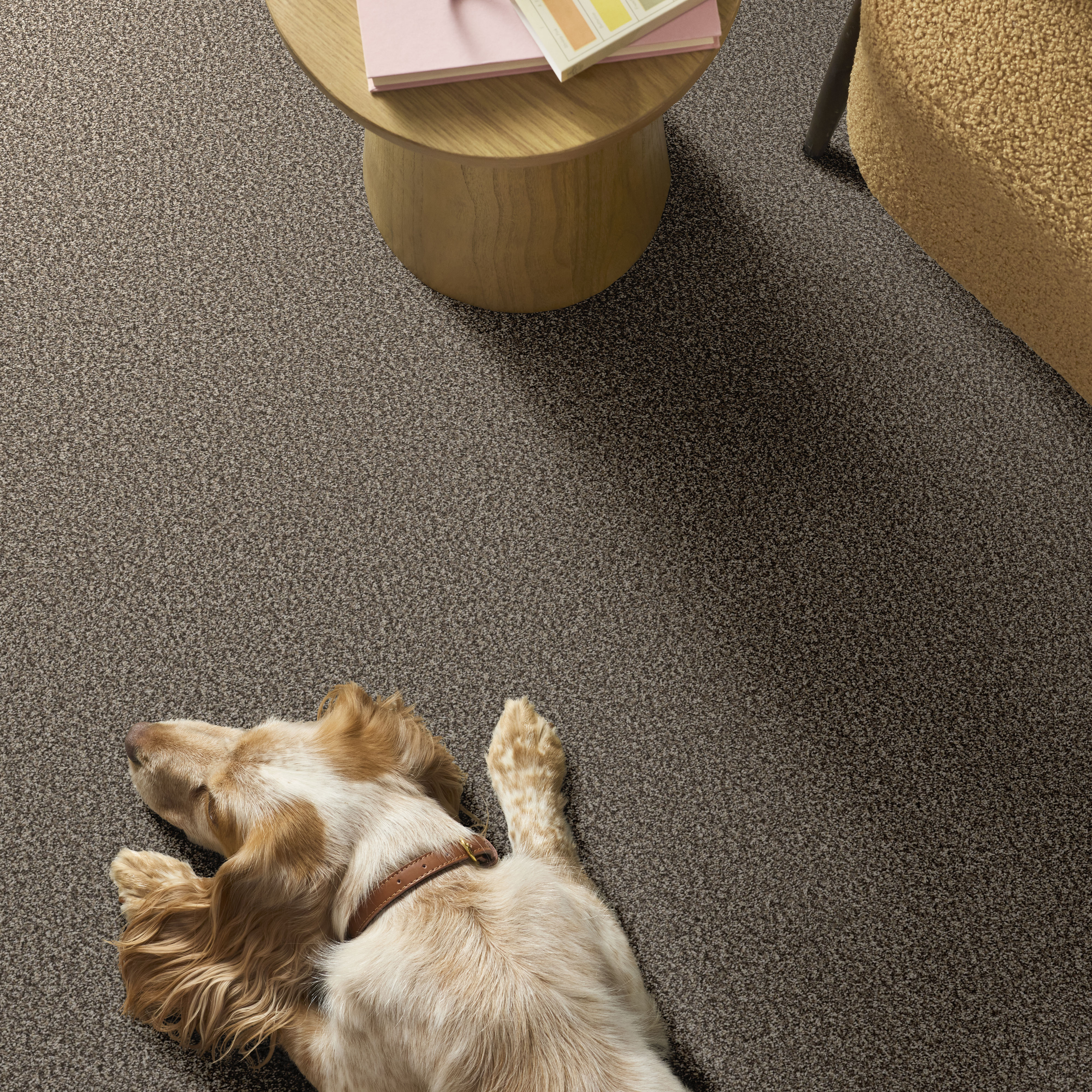 ARTISTIC FUSION I SOFT SENSE ROOM