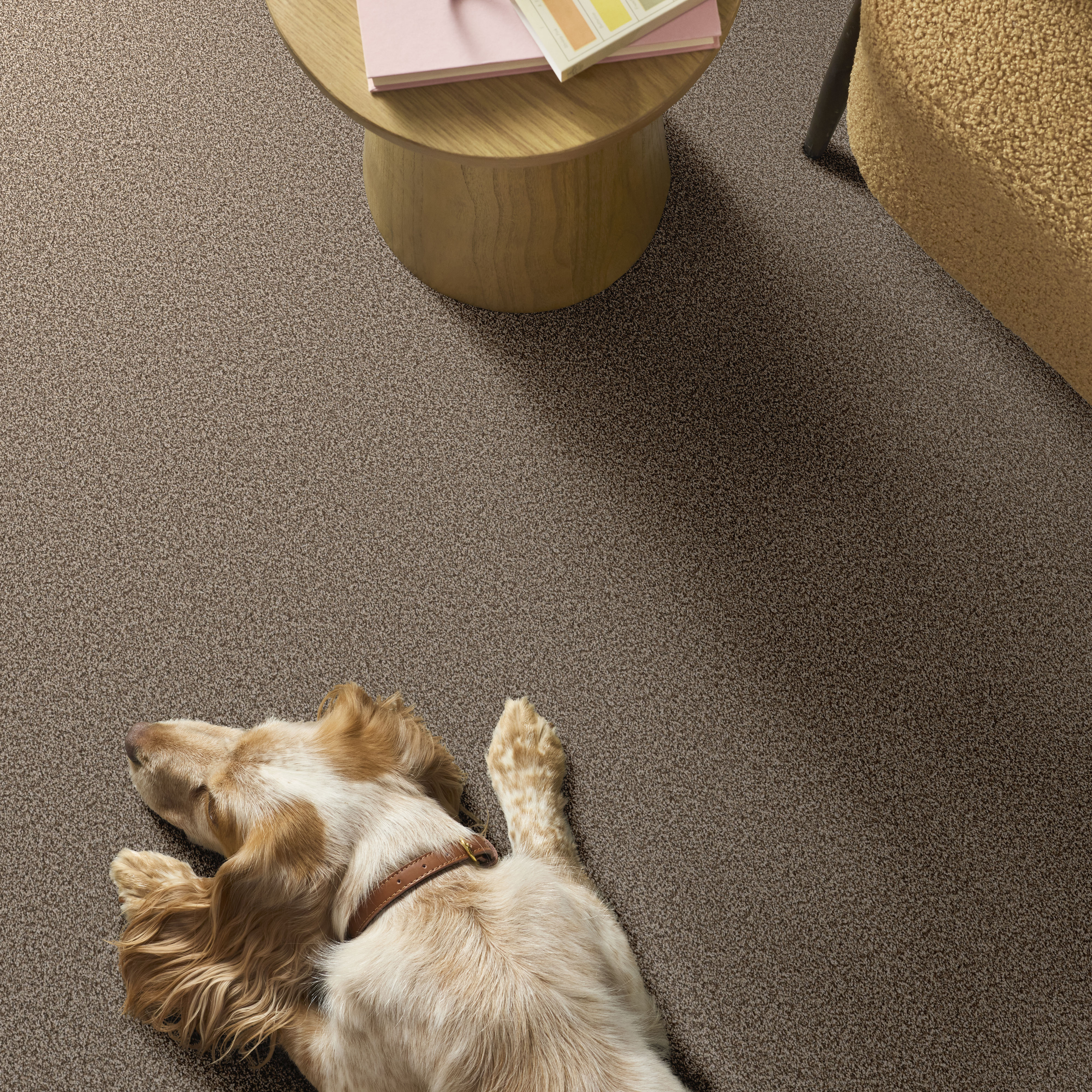 ARTISTIC FUSION I CAMEO ROOM