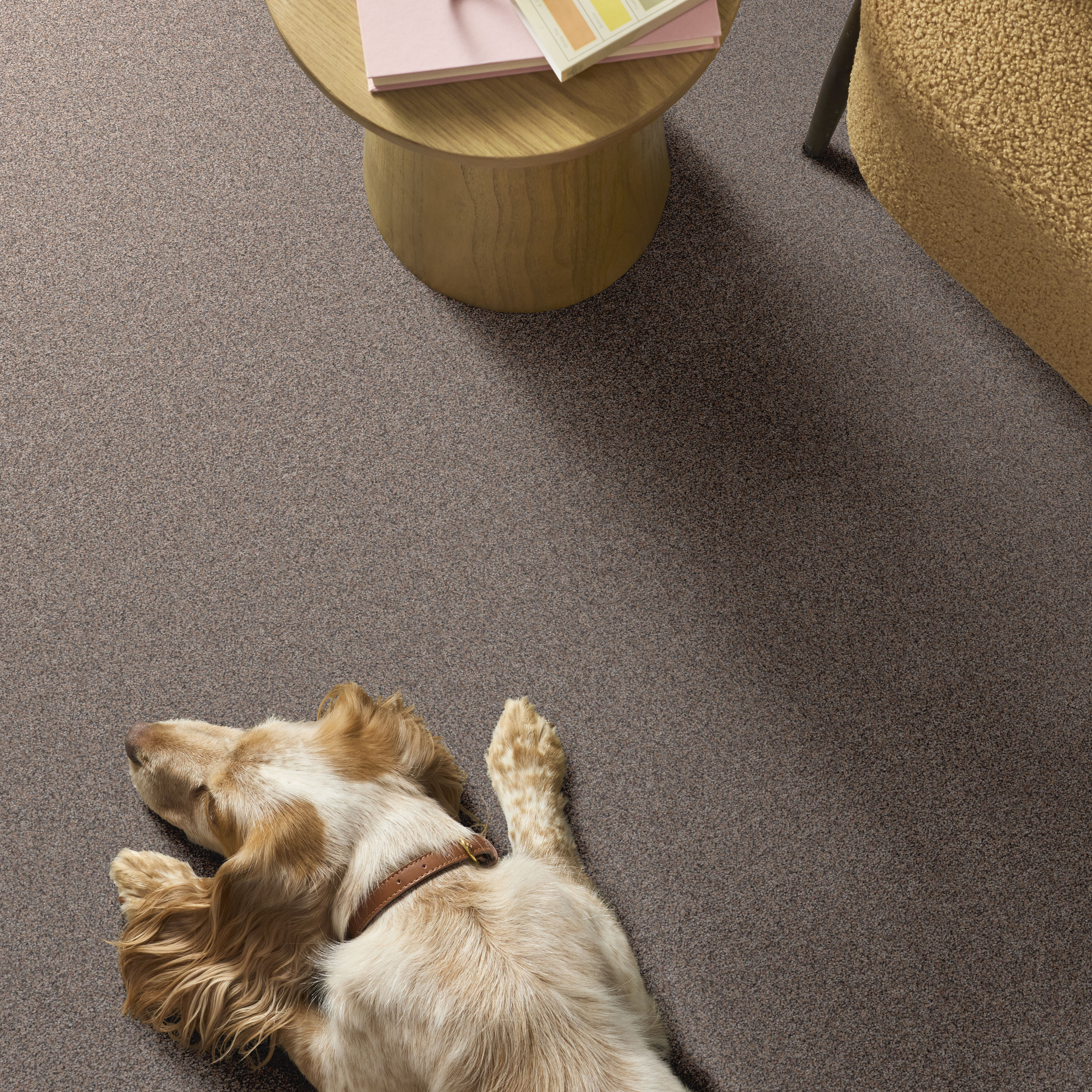 ARTISTIC FUSION I MOONWALK ROOM