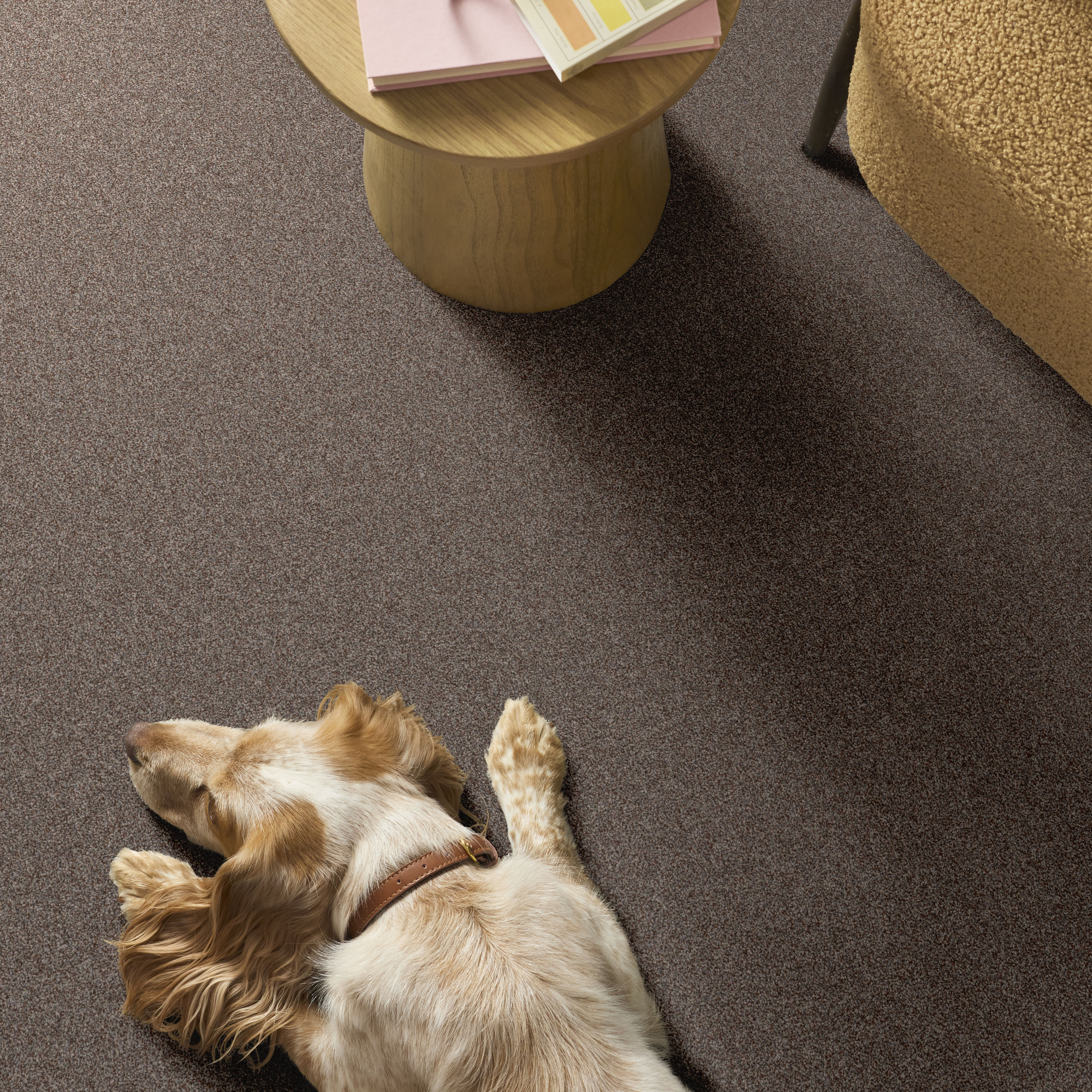 ARTISTIC FUSION I ORANGE OXIDE ROOM