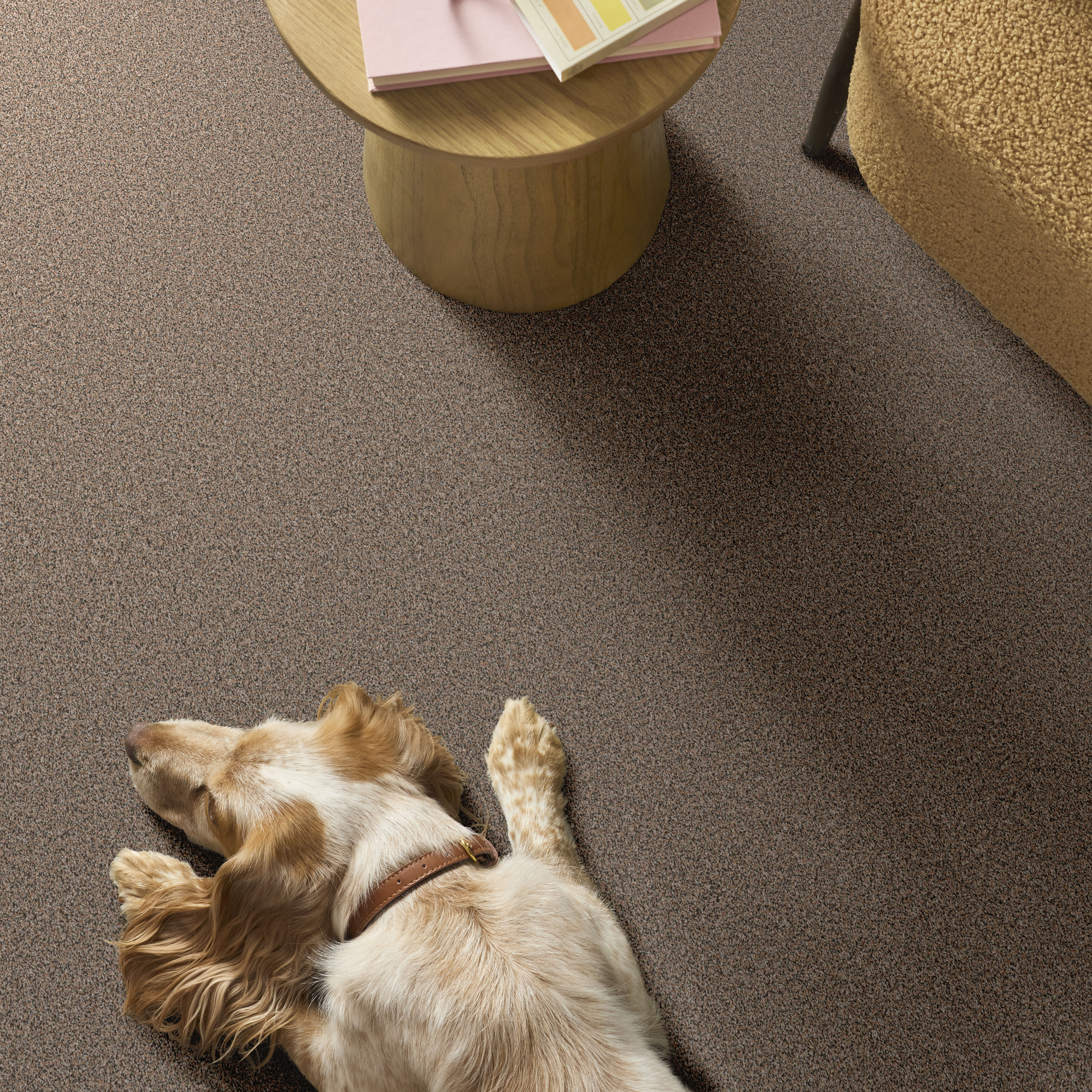 ARTISTIC FUSION II MOONWALK ROOM