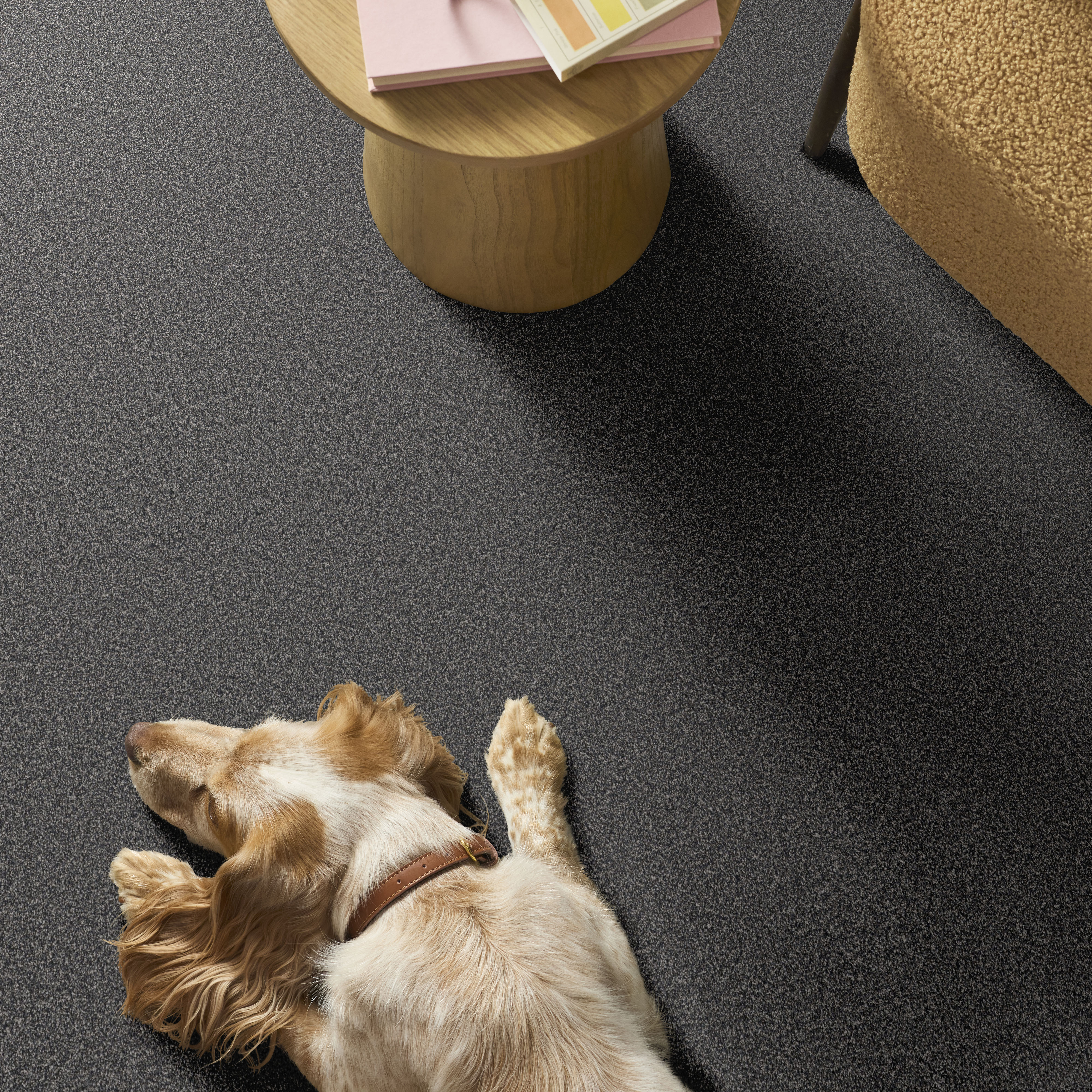 ARTISTIC FUSION II REFINED ROOM