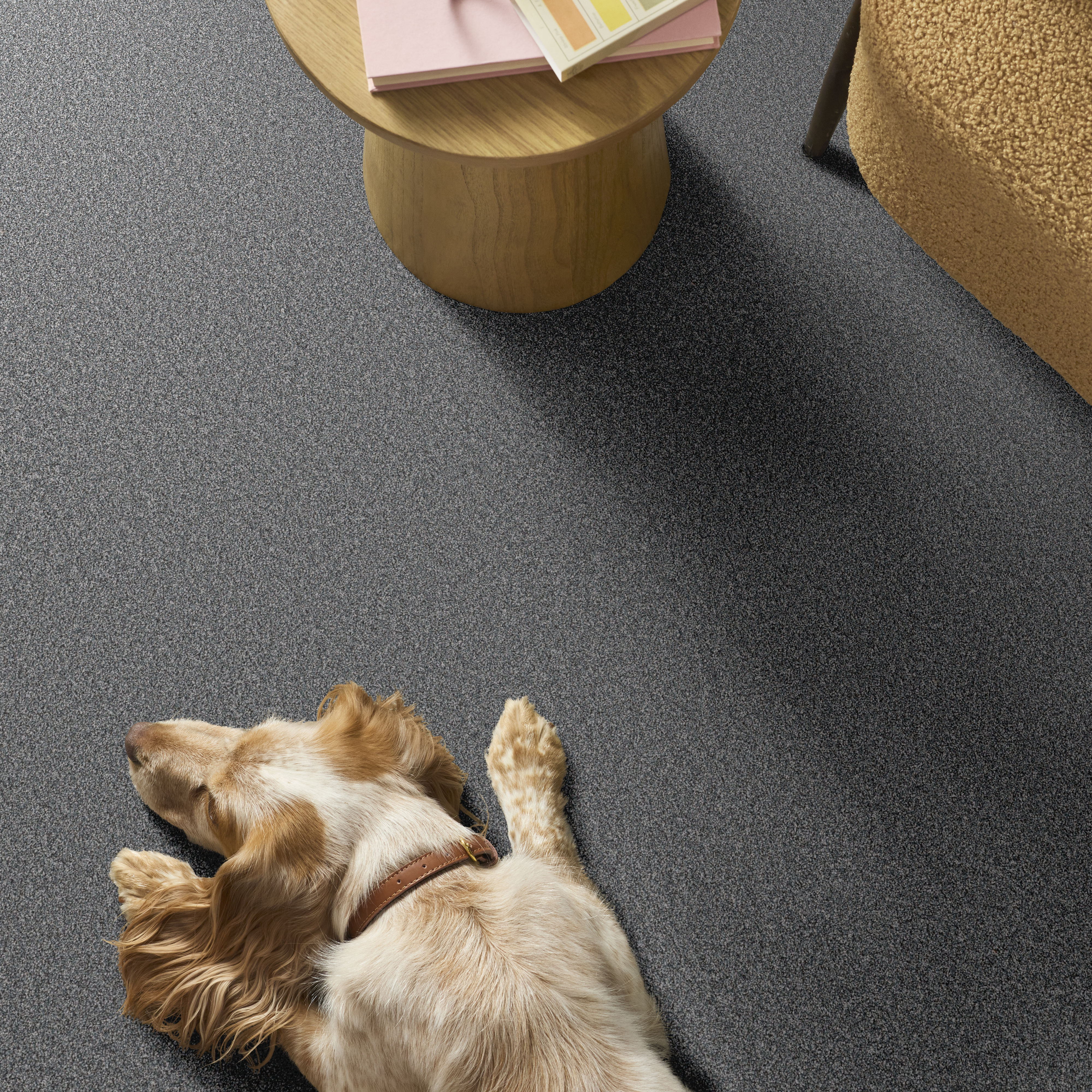 ARTISTIC FUSION II SEA ICE ROOM