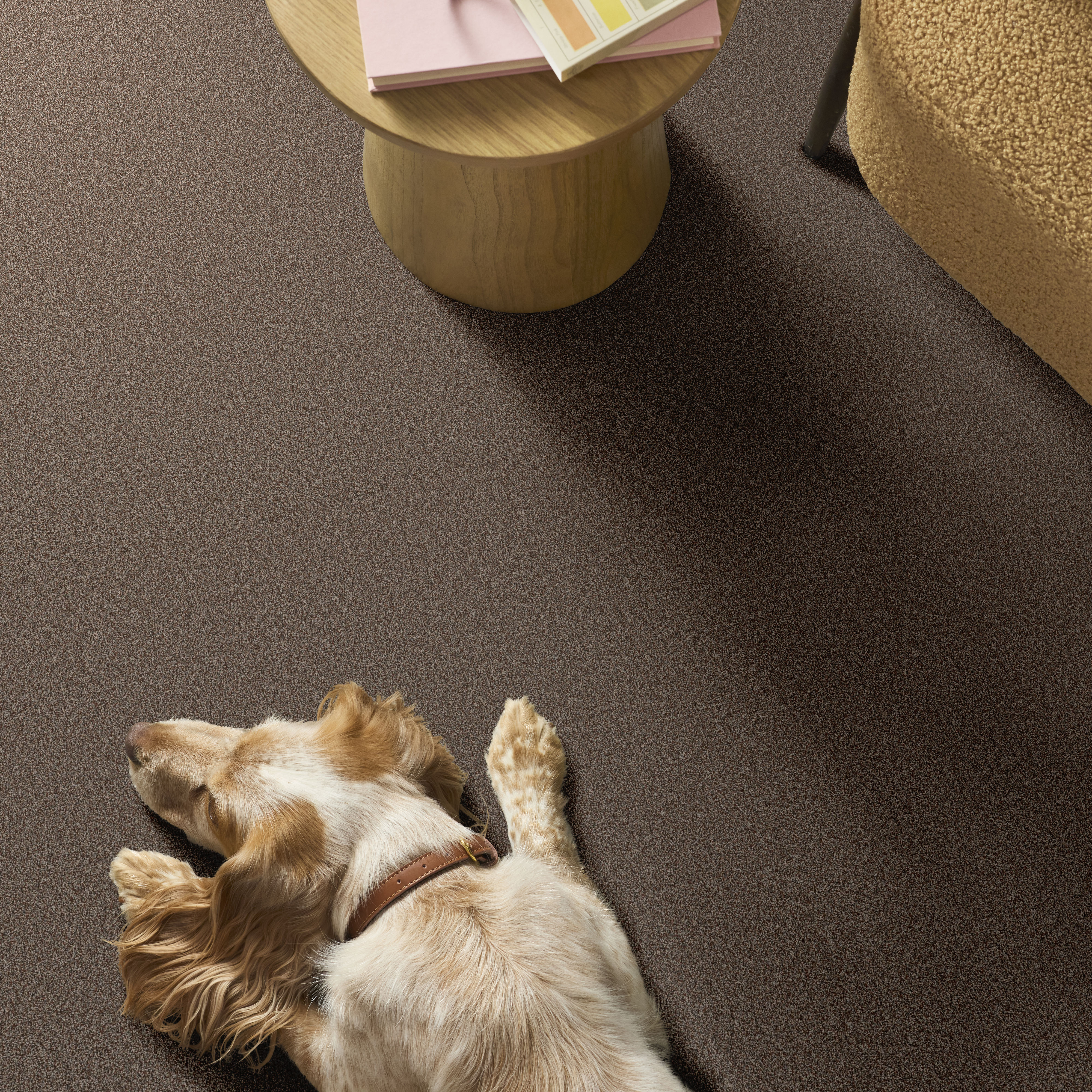 ARTISTIC FUSION II ORANGE OXIDE ROOM