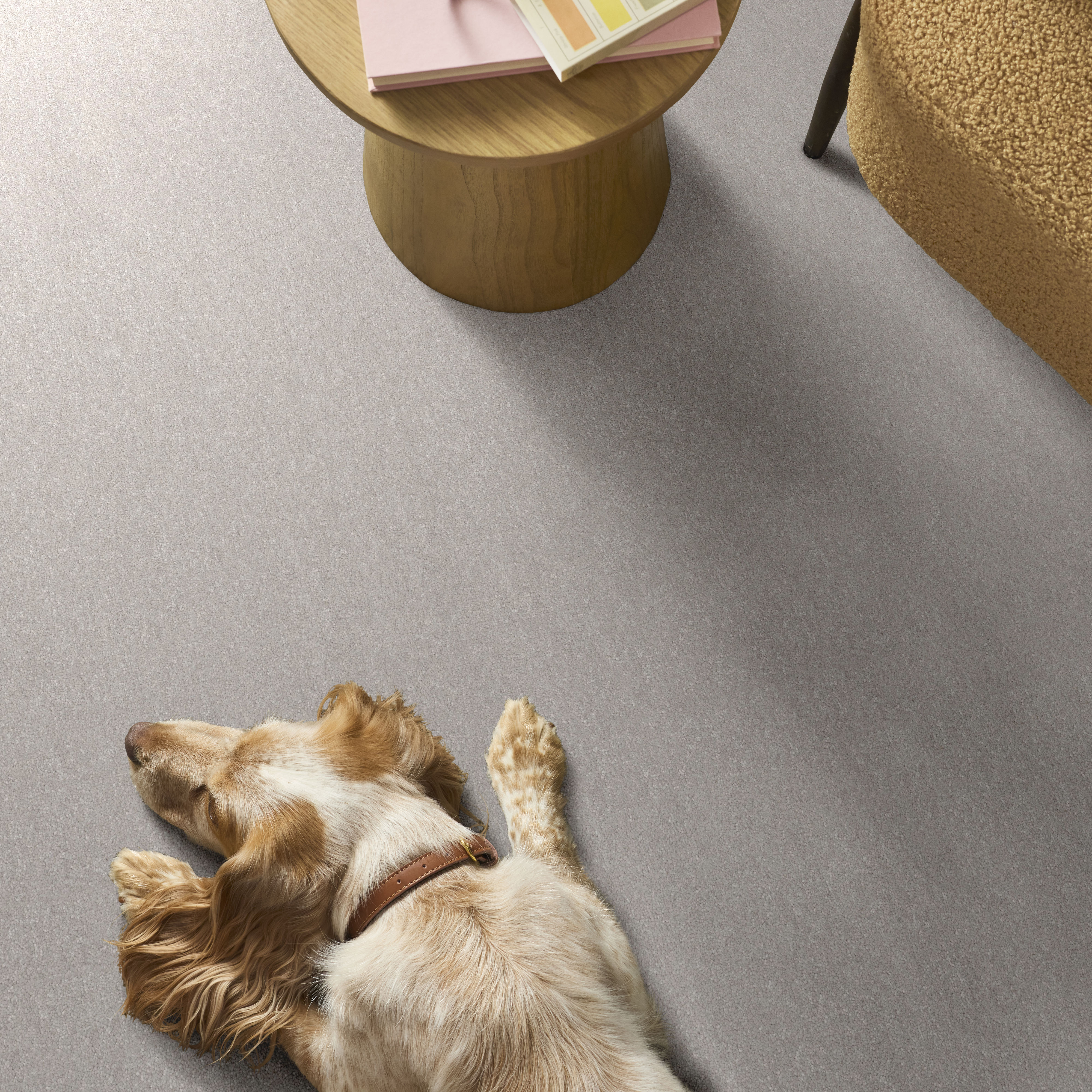 HARD AT PLAY I 15' FROZEN ROOM