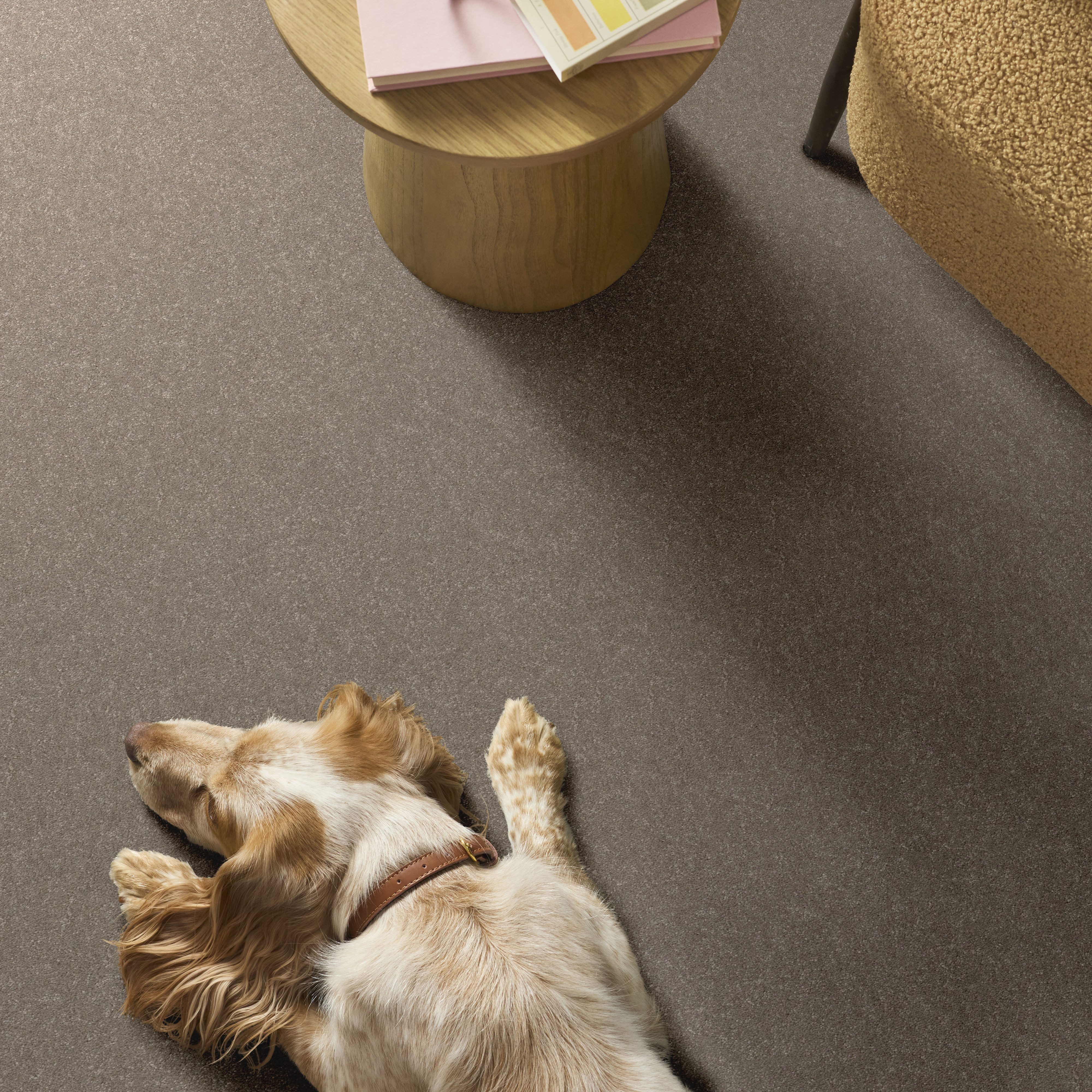 HARD AT PLAY I 15' CHIC GREIGE ROOM