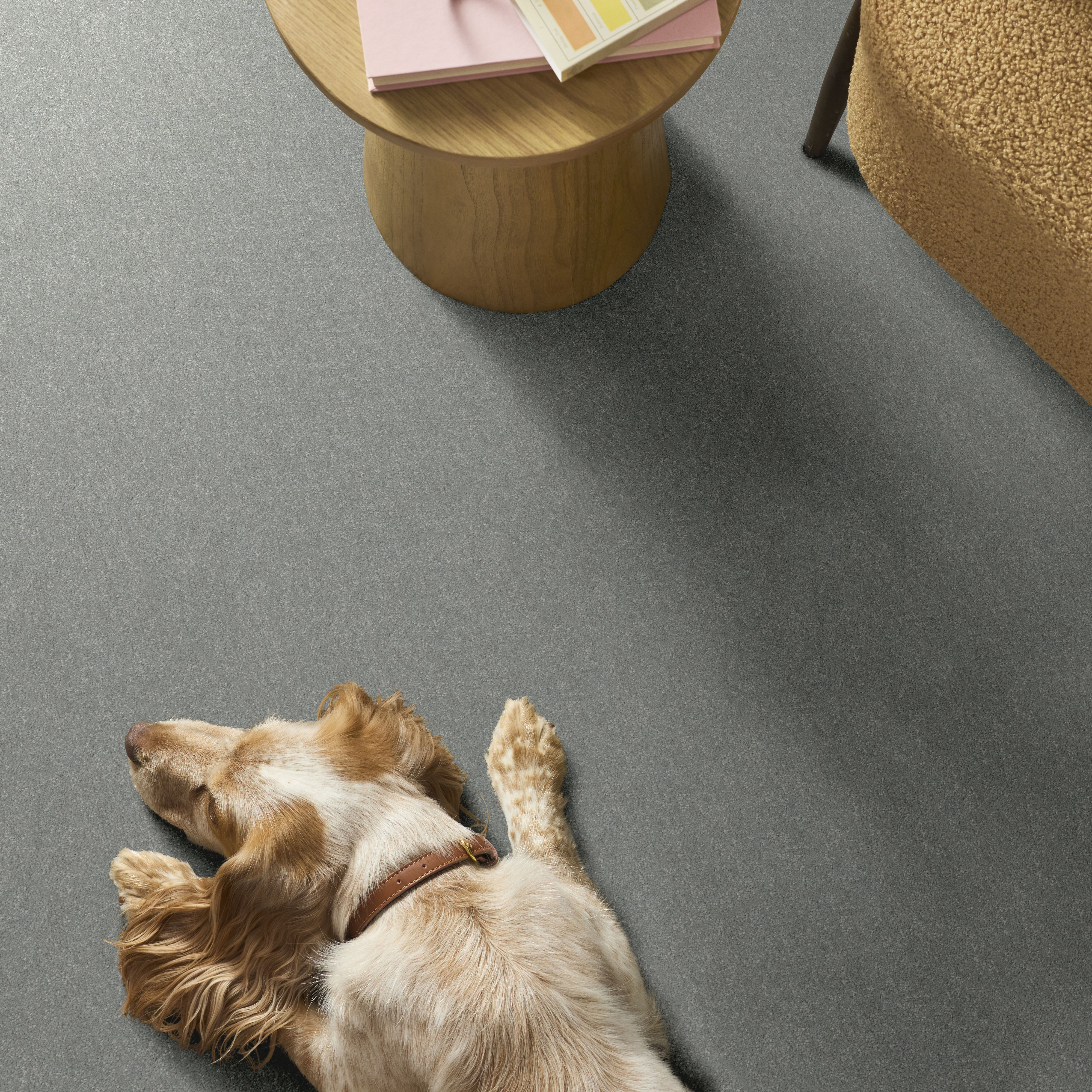 HARD AT PLAY II 15' FROSTED LEAF ROOM