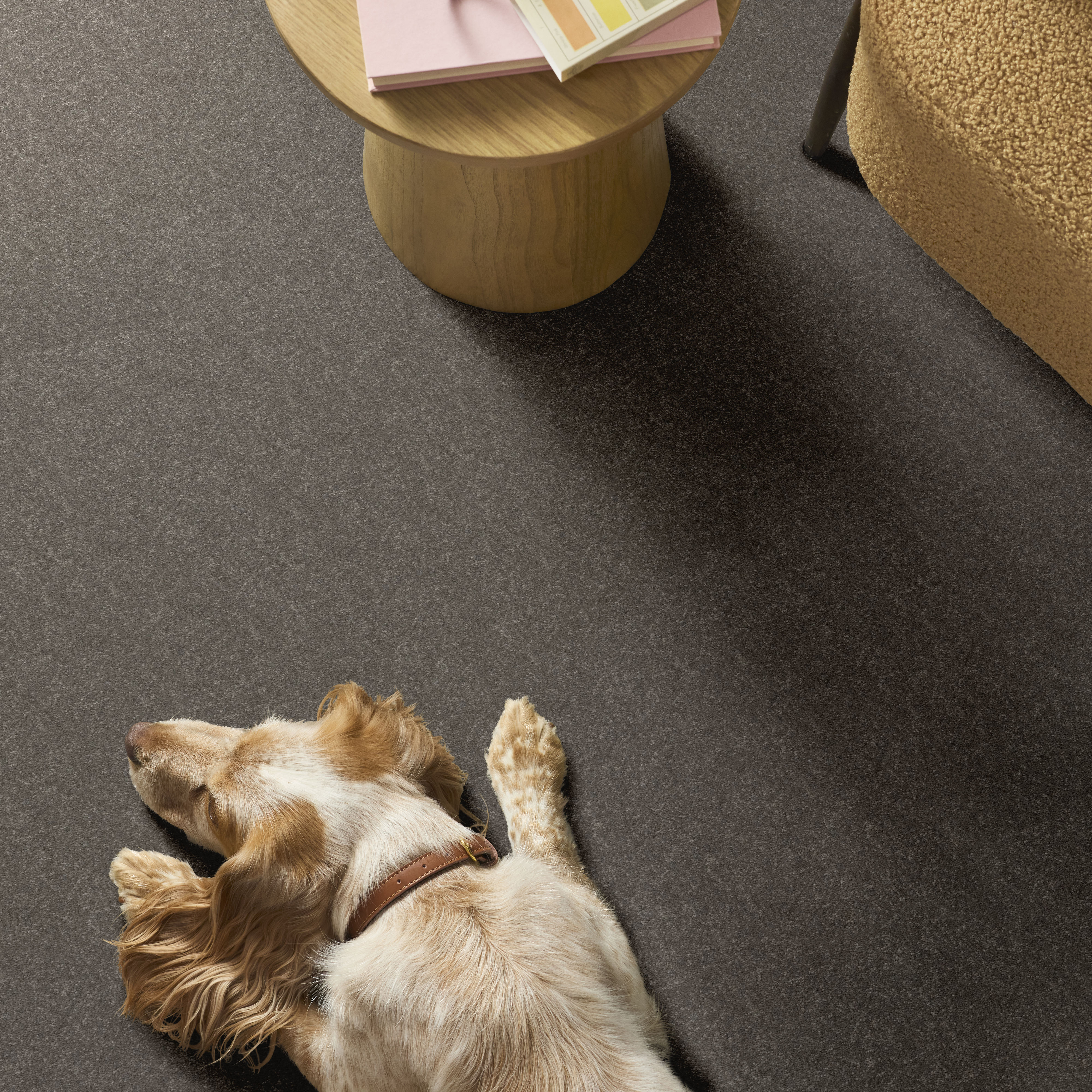 HARD AT PLAY II 15' ASHES ROOM