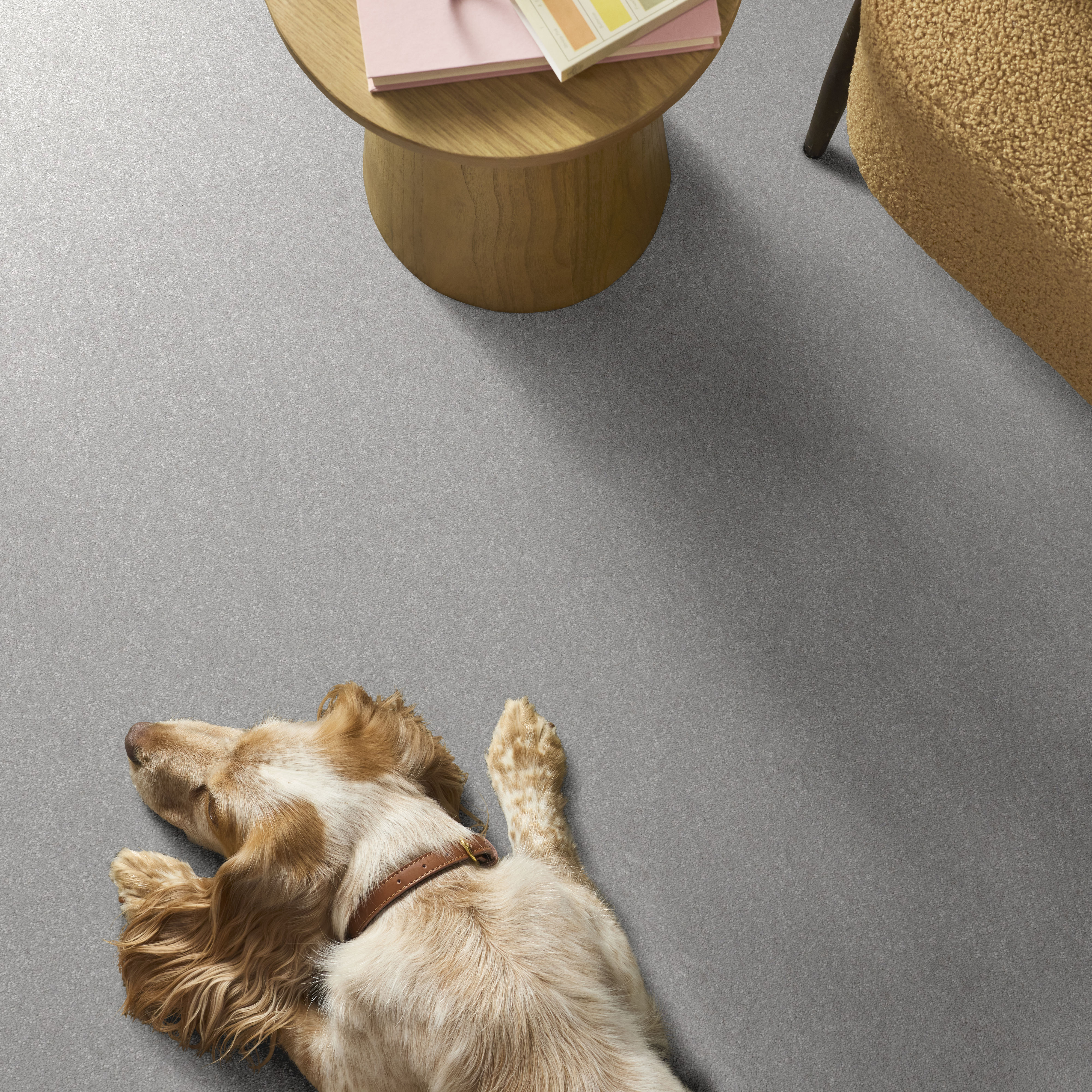 HARD AT PLAY II 15' LILAC GRAY ROOM