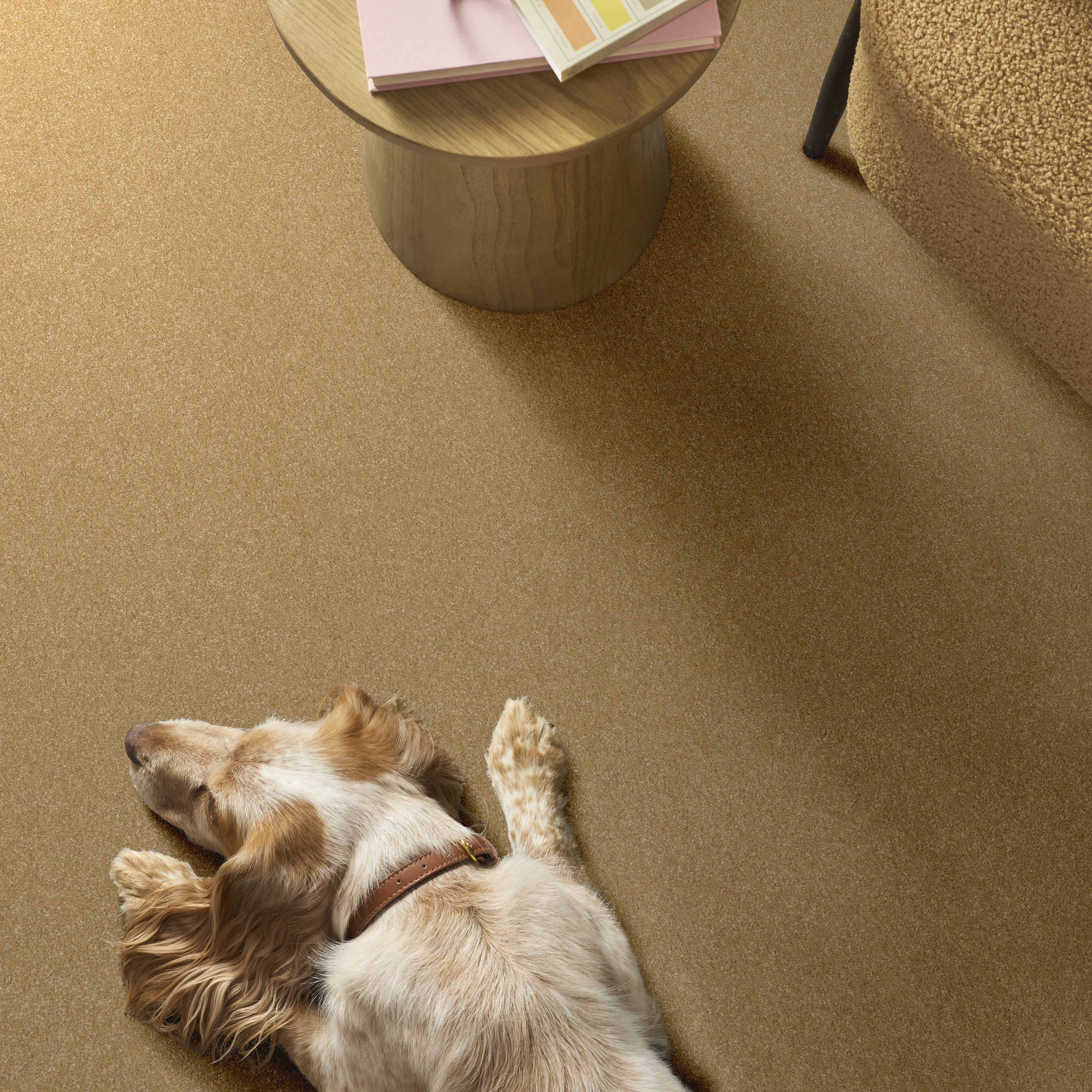 HARD AT PLAY III 15' HONEYCOMB ROOM