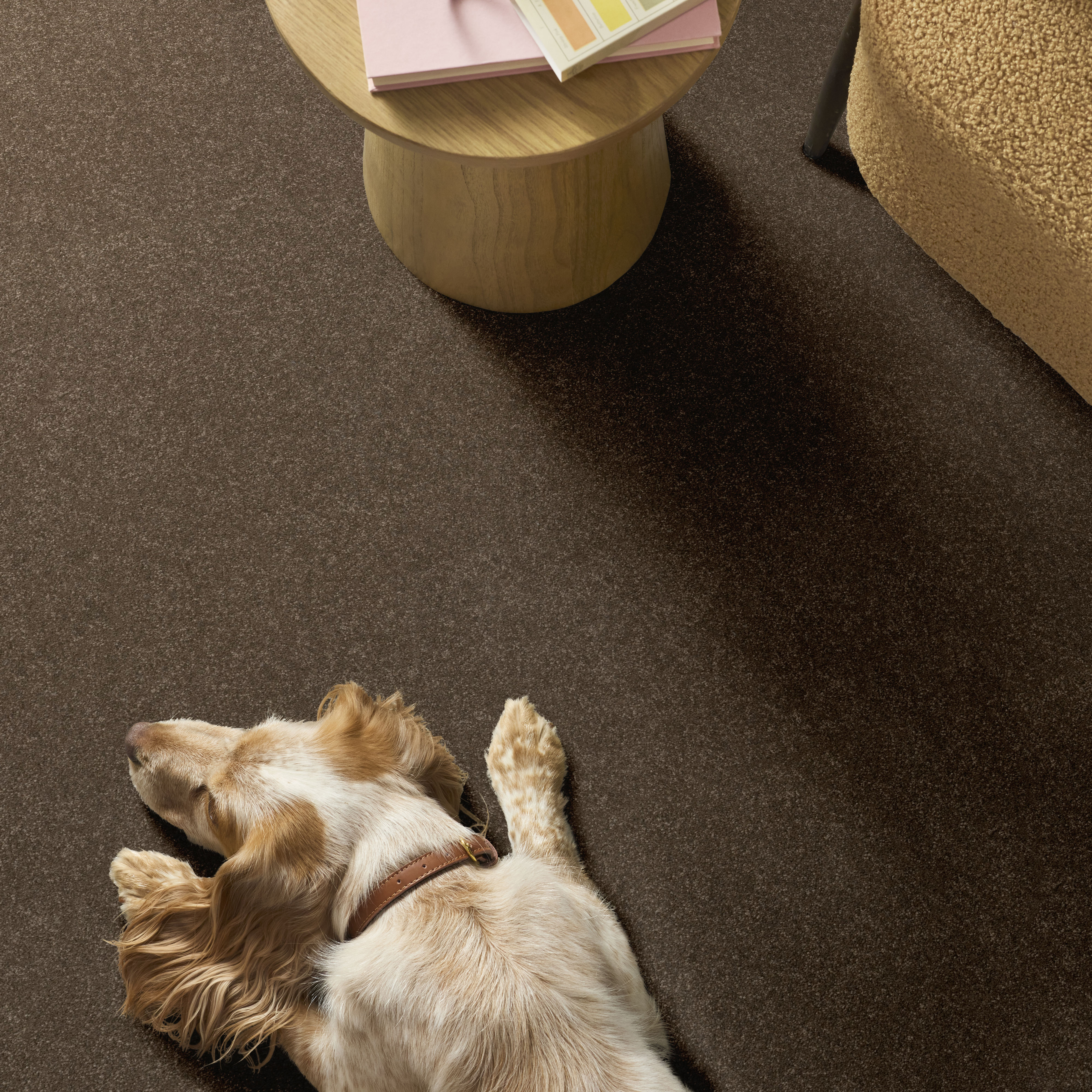 HARD AT PLAY III 15' MISSION RIDGE ROOM