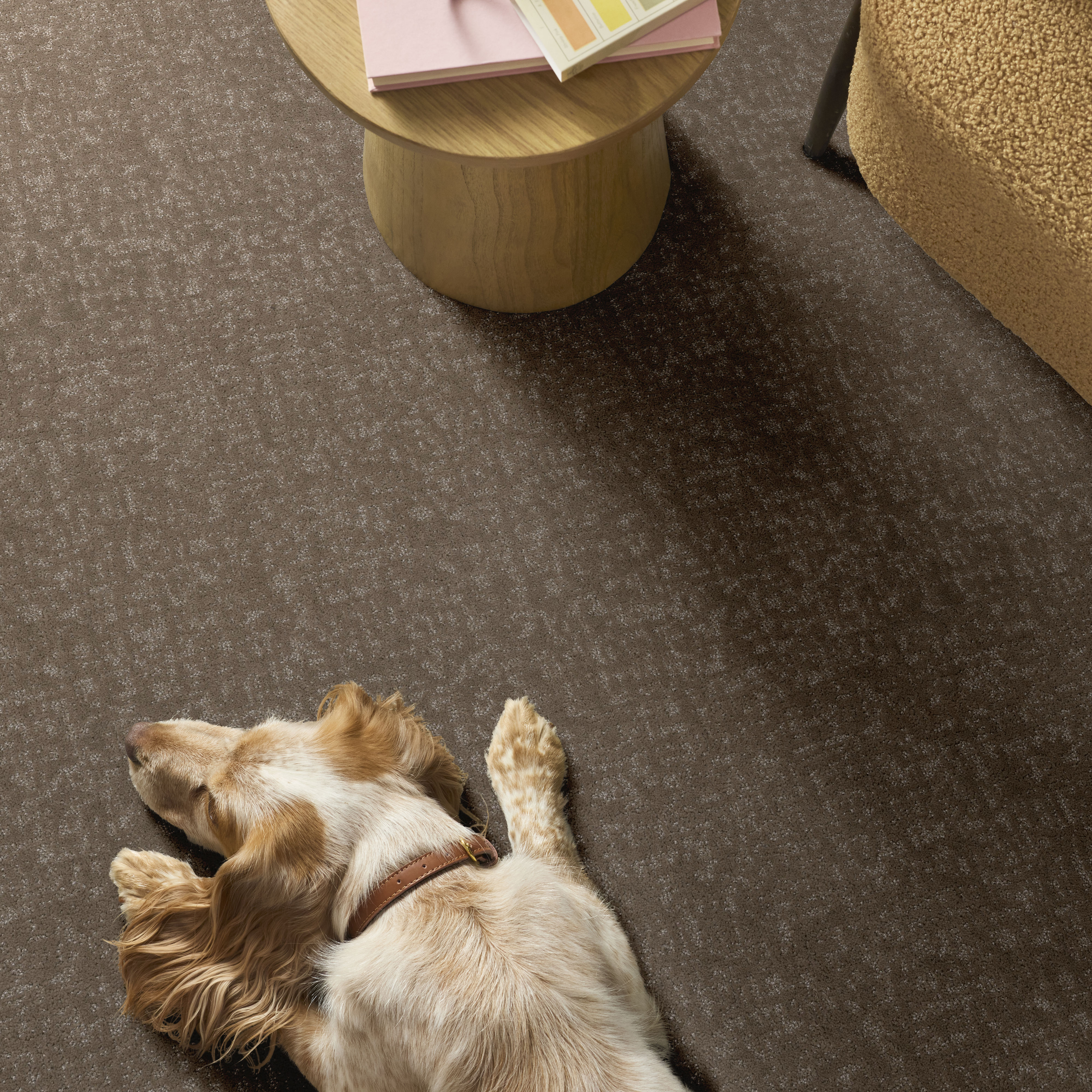 HOME WITHIN CAMEO ROOM