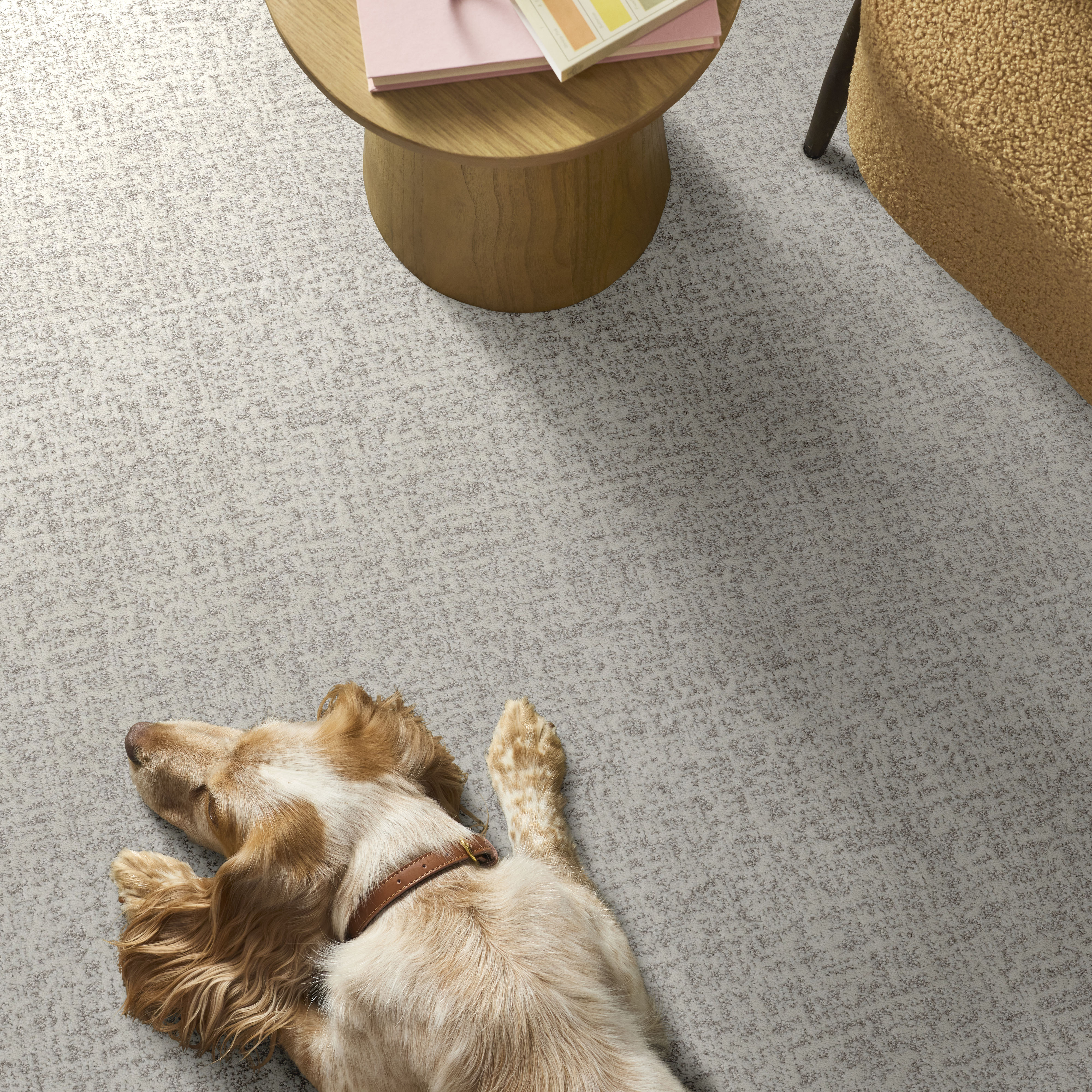 HOME WITHIN SNOWFALL ROOM