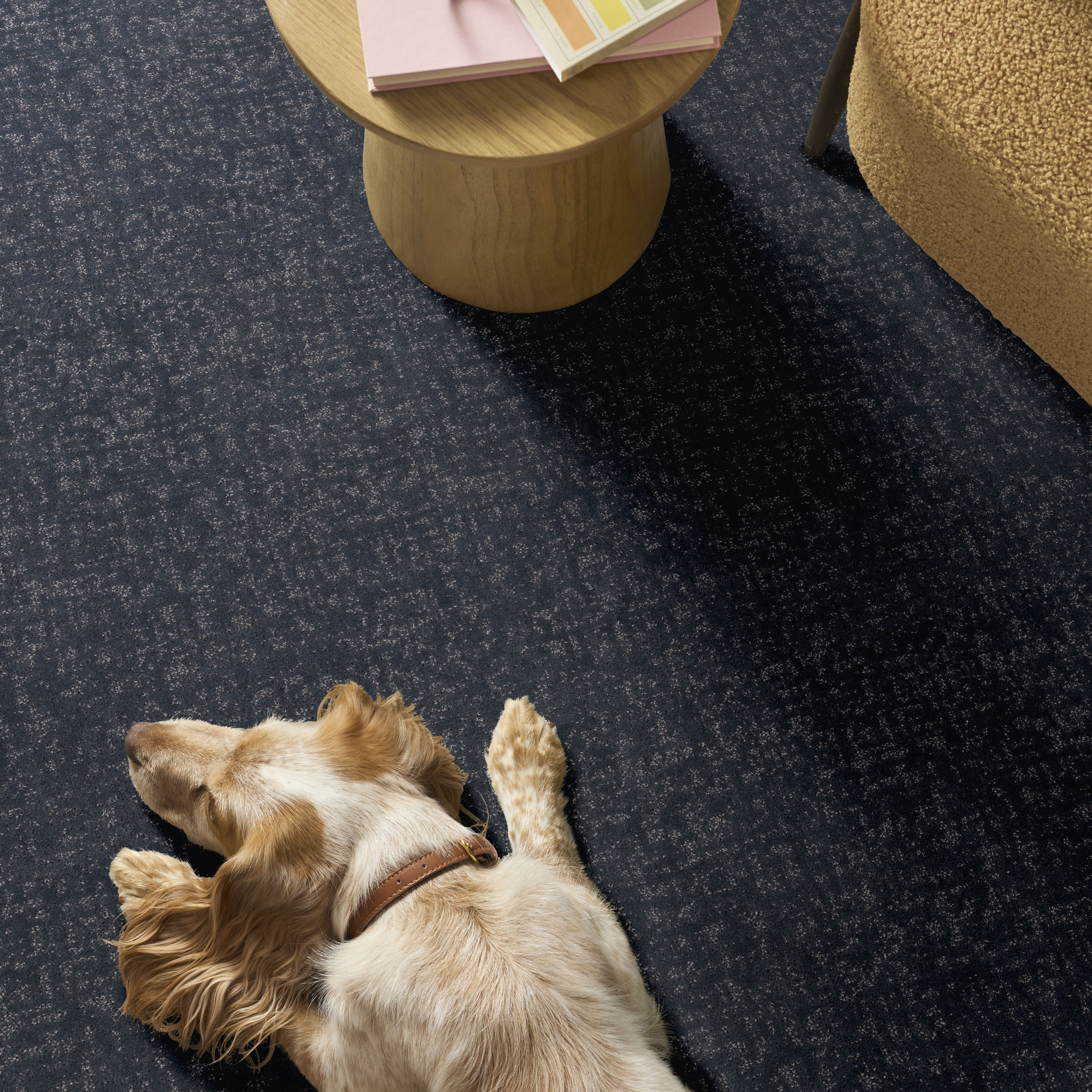 HOME WITHIN REFINED ROOM