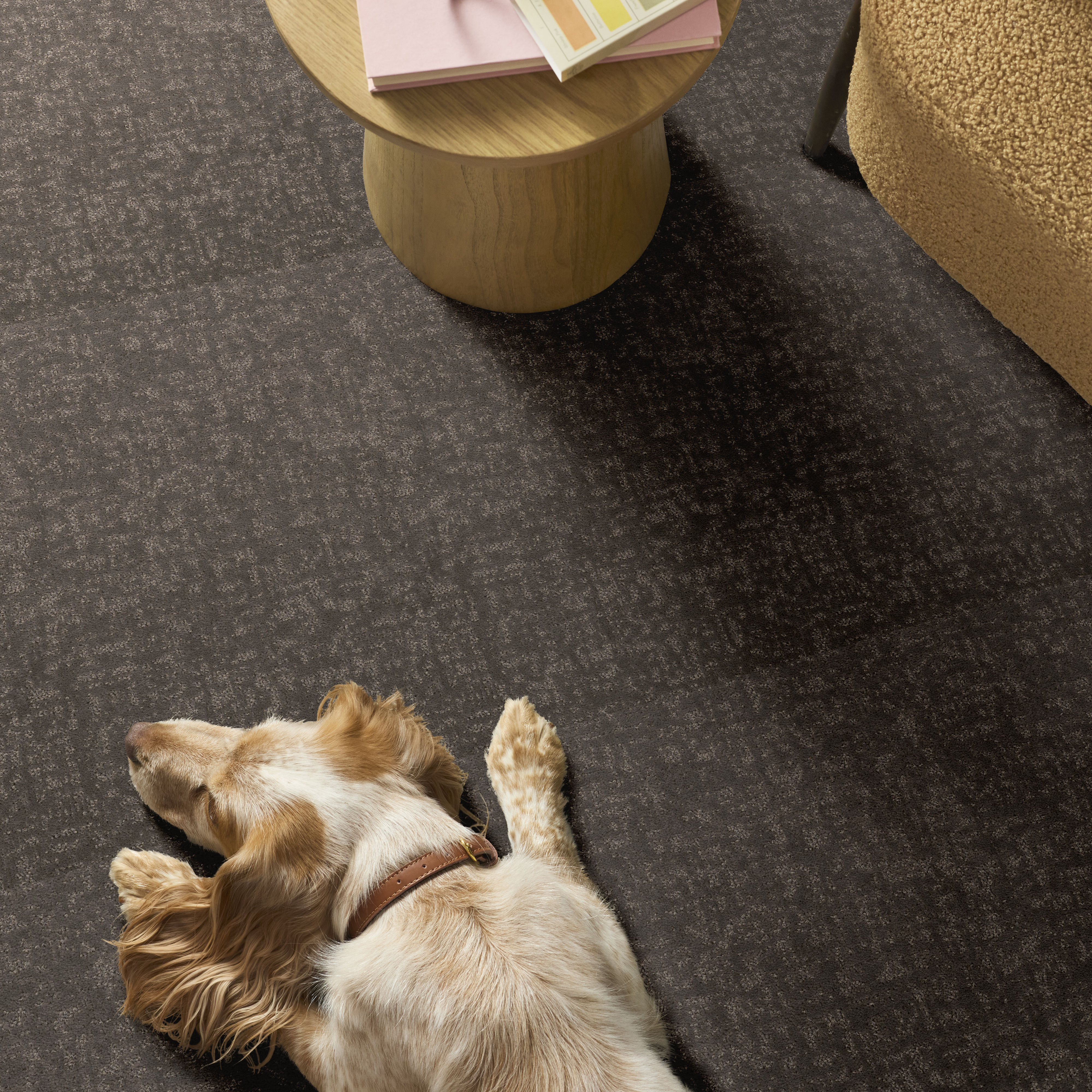 HOME WITHIN ASHES ROOM