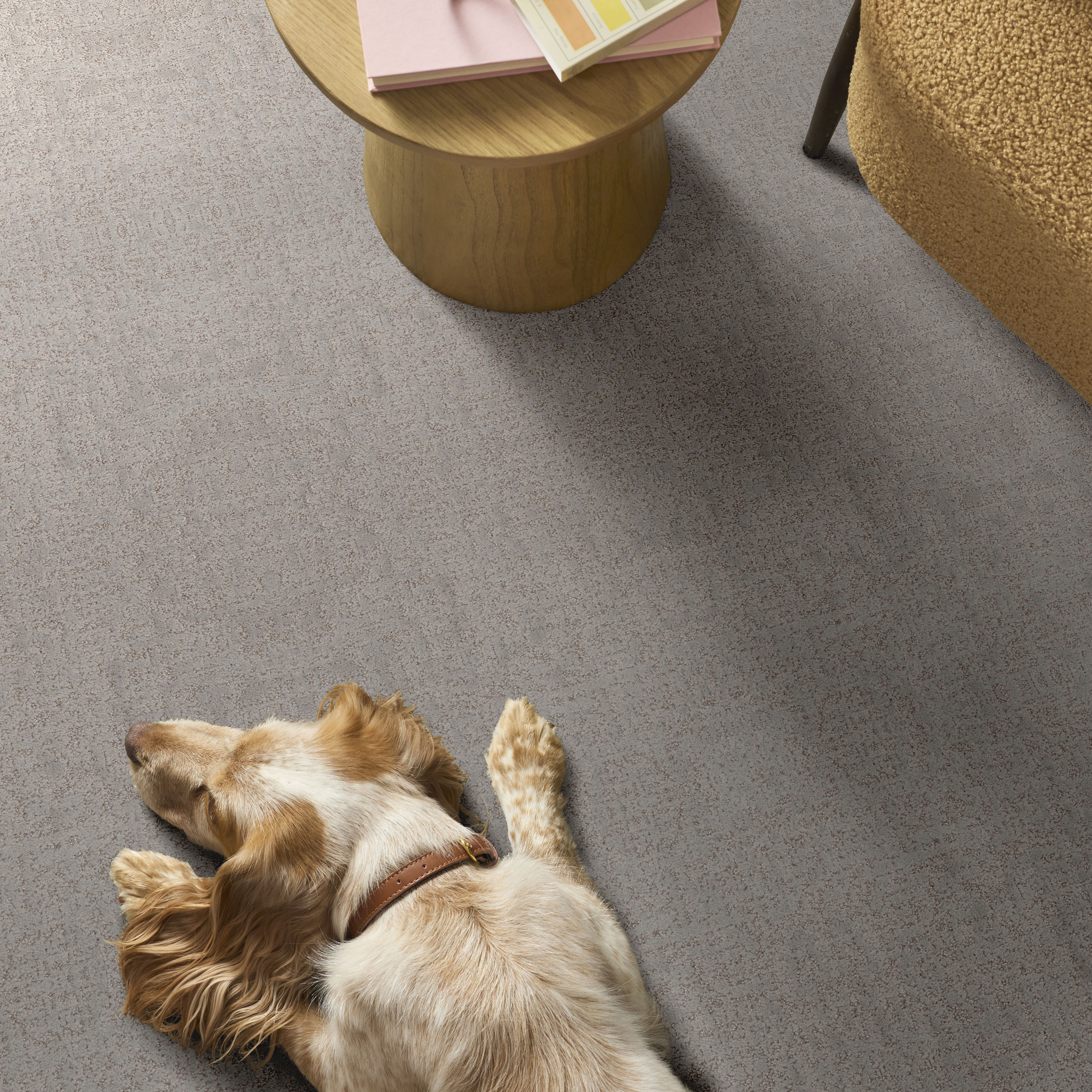 HOME WITHIN ROCK CRYSTAL ROOM