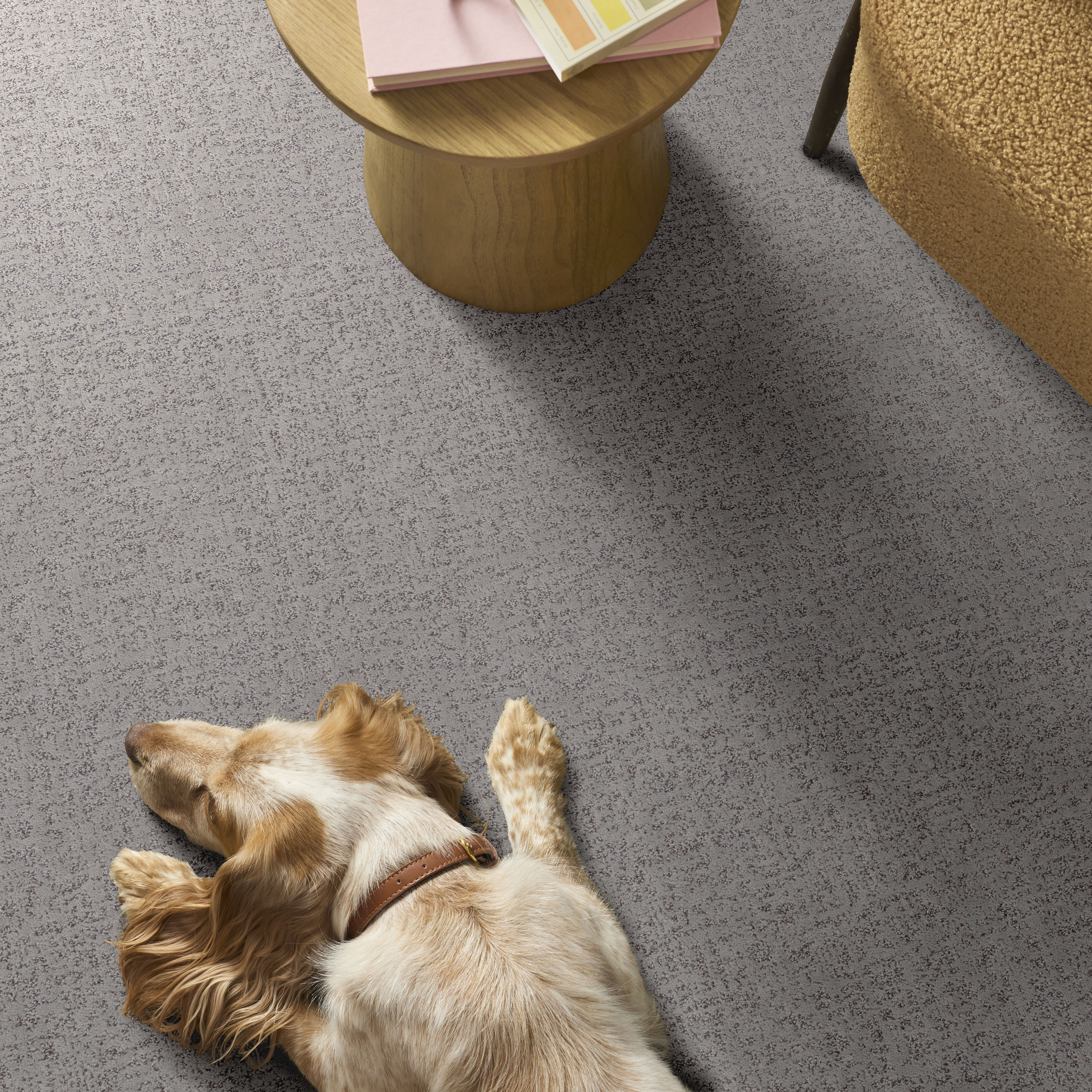 HOME WITHIN LILAC GRAY ROOM