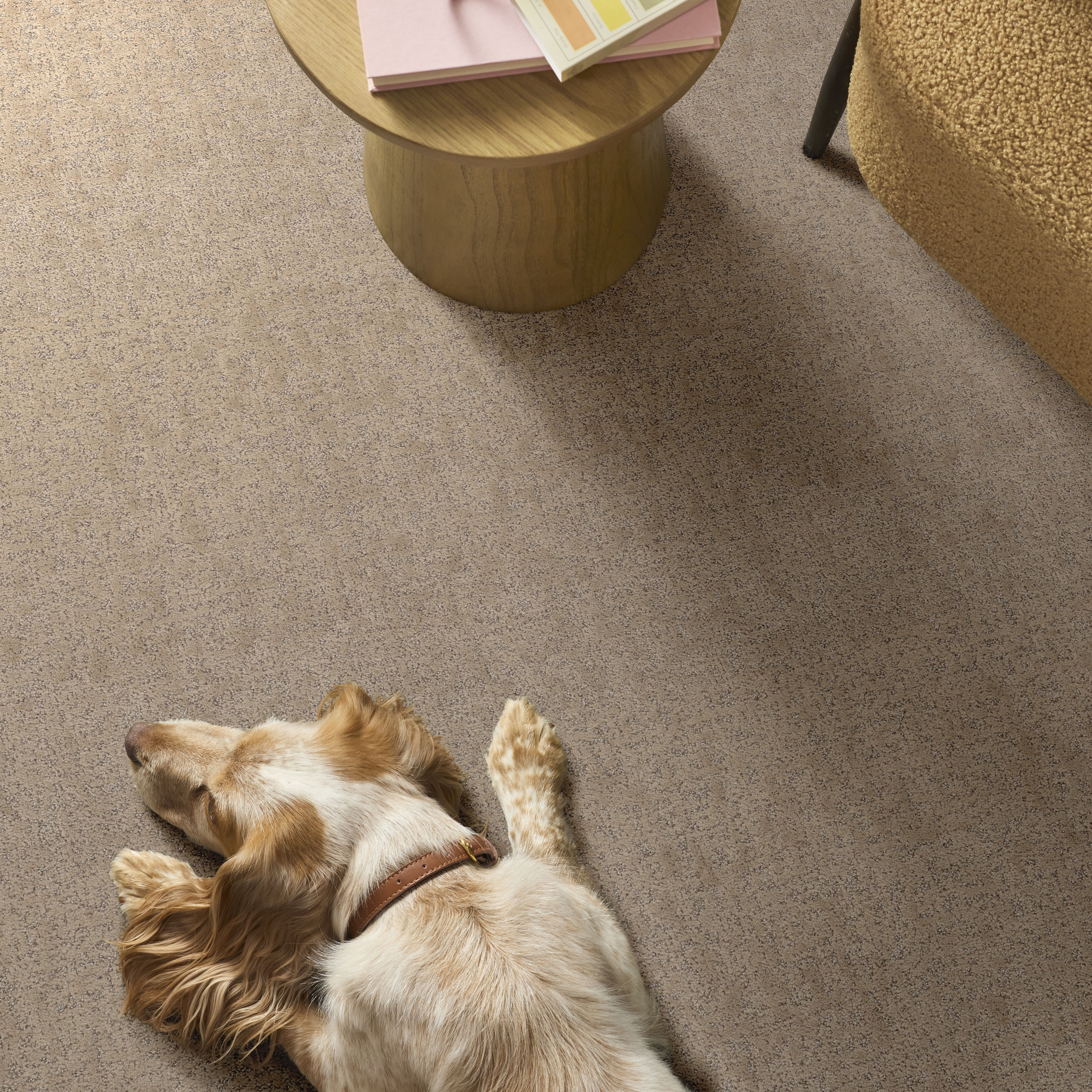 HOME WITHIN WORN PATH ROOM