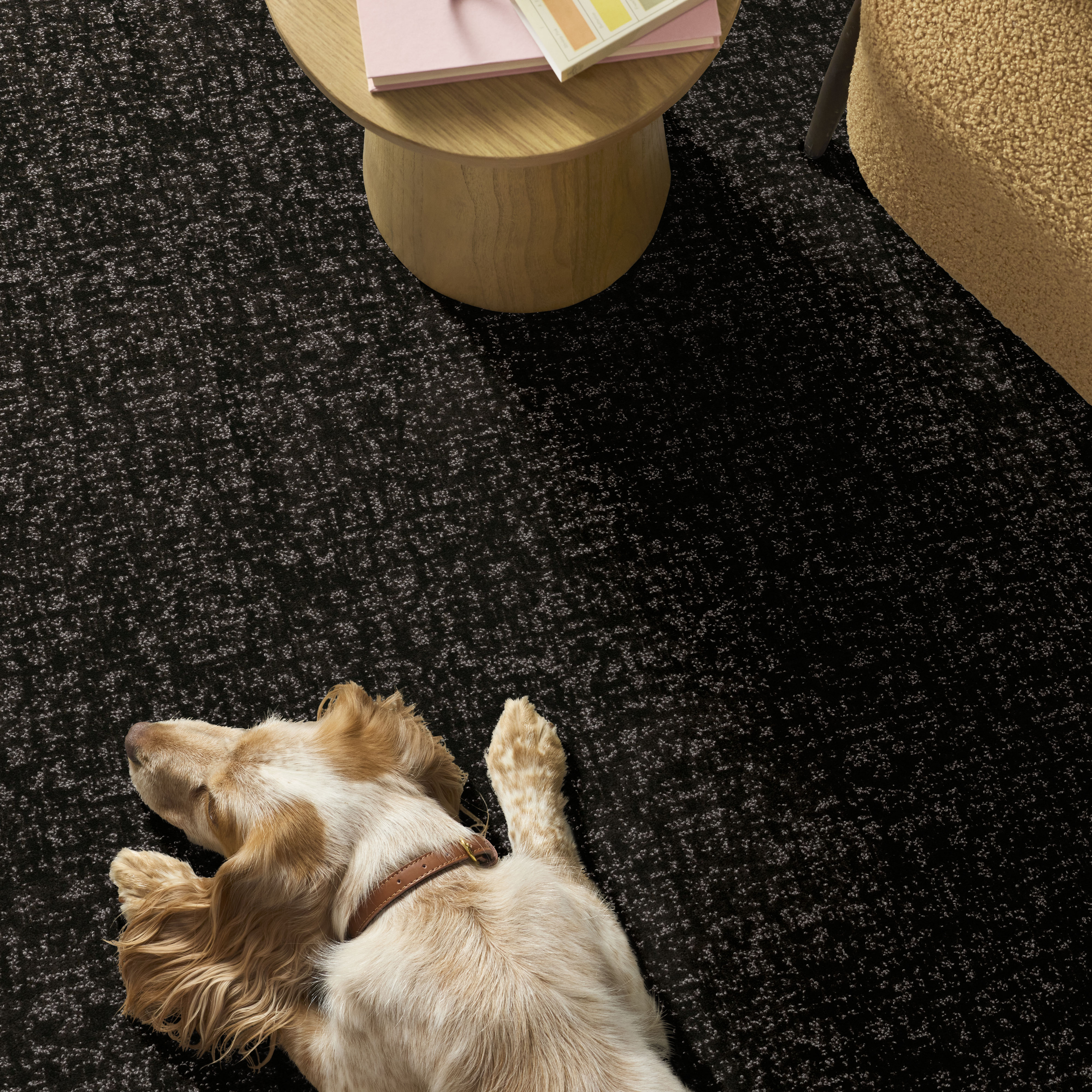 HOME WITHIN CAFE NOIR ROOM