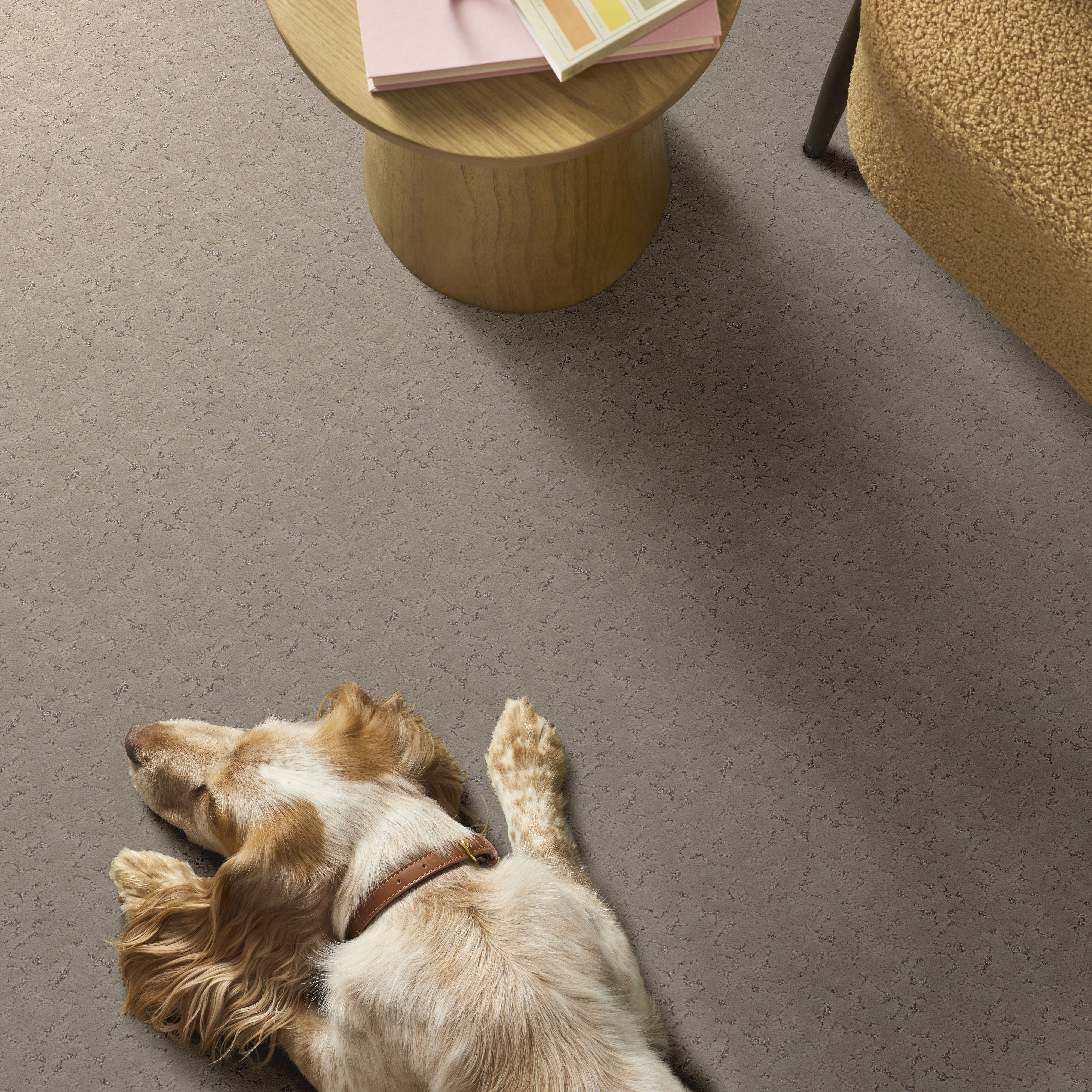 LIGHT IMPRESSIONS CHIC GREIGE ROOM