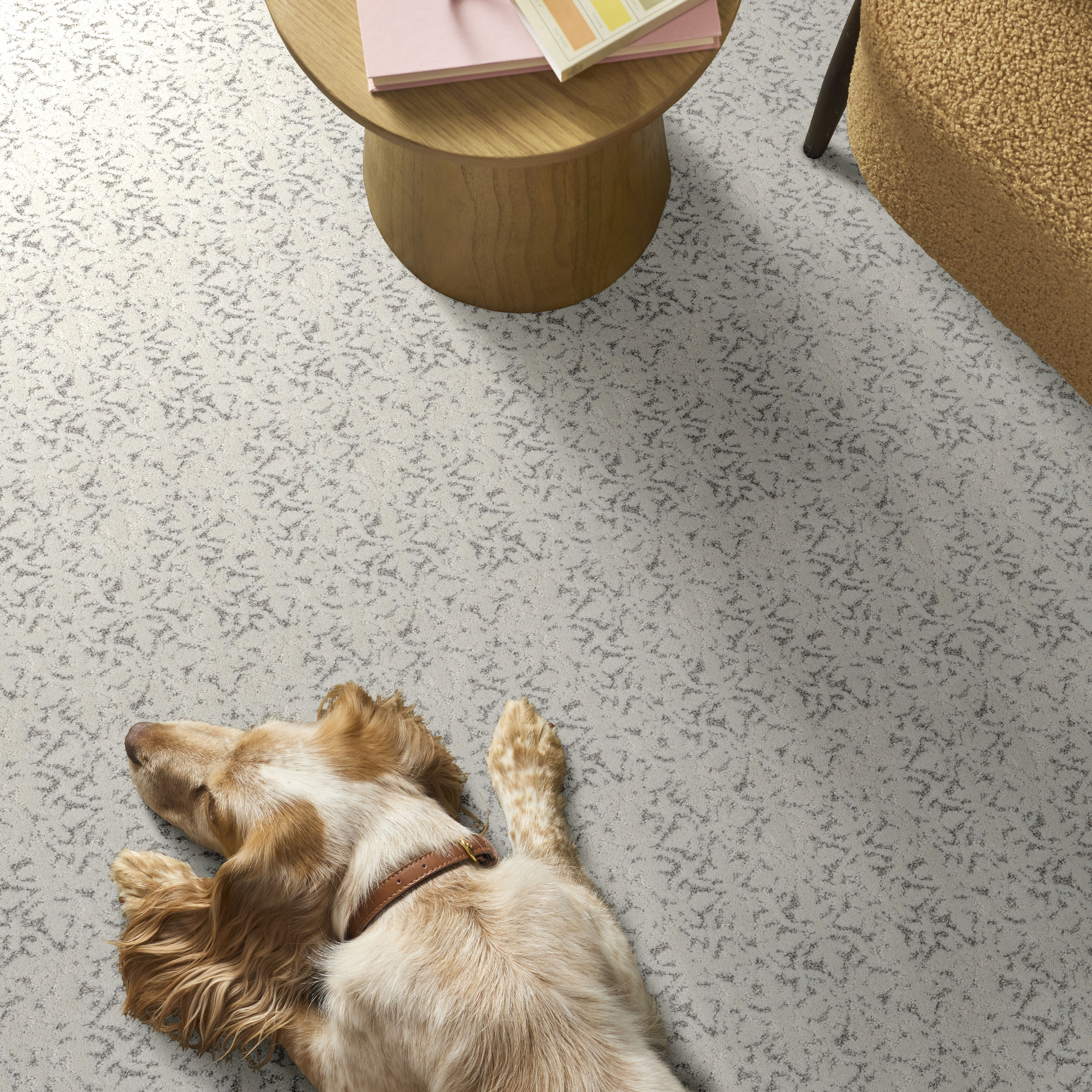 LIGHT IMPRESSIONS SNOWFALL ROOM