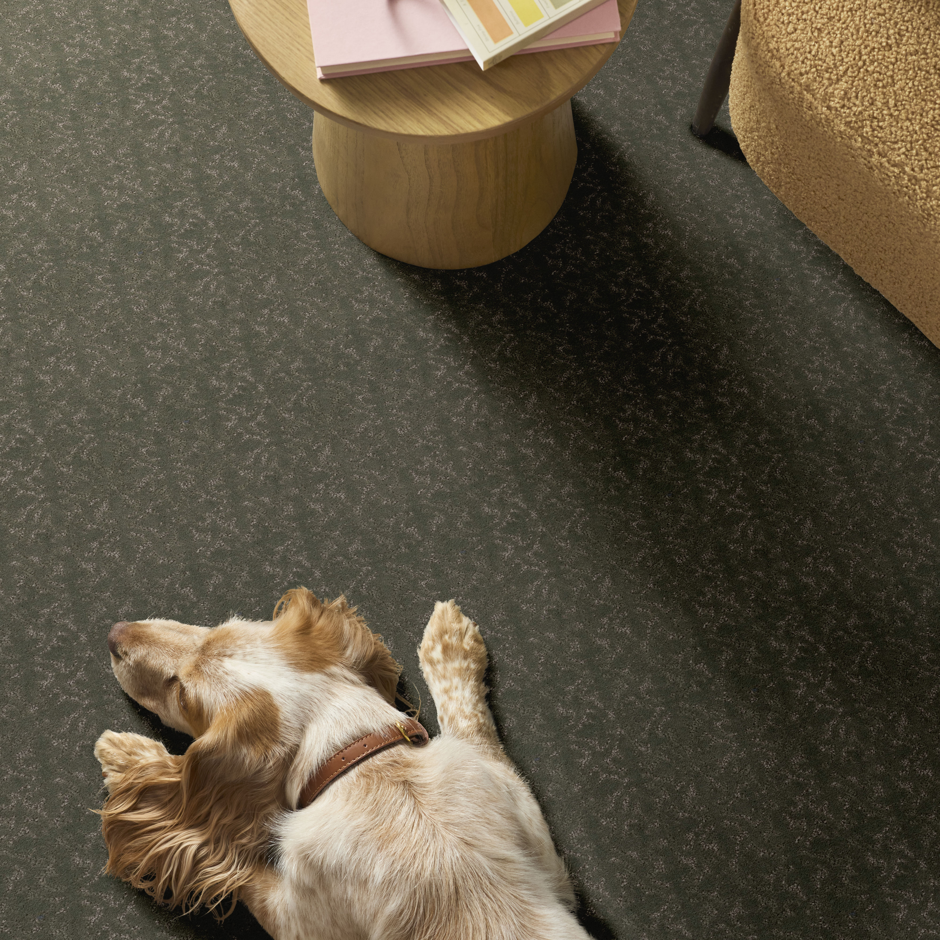 LIGHT IMPRESSIONS REROOTED NATURE ROOM