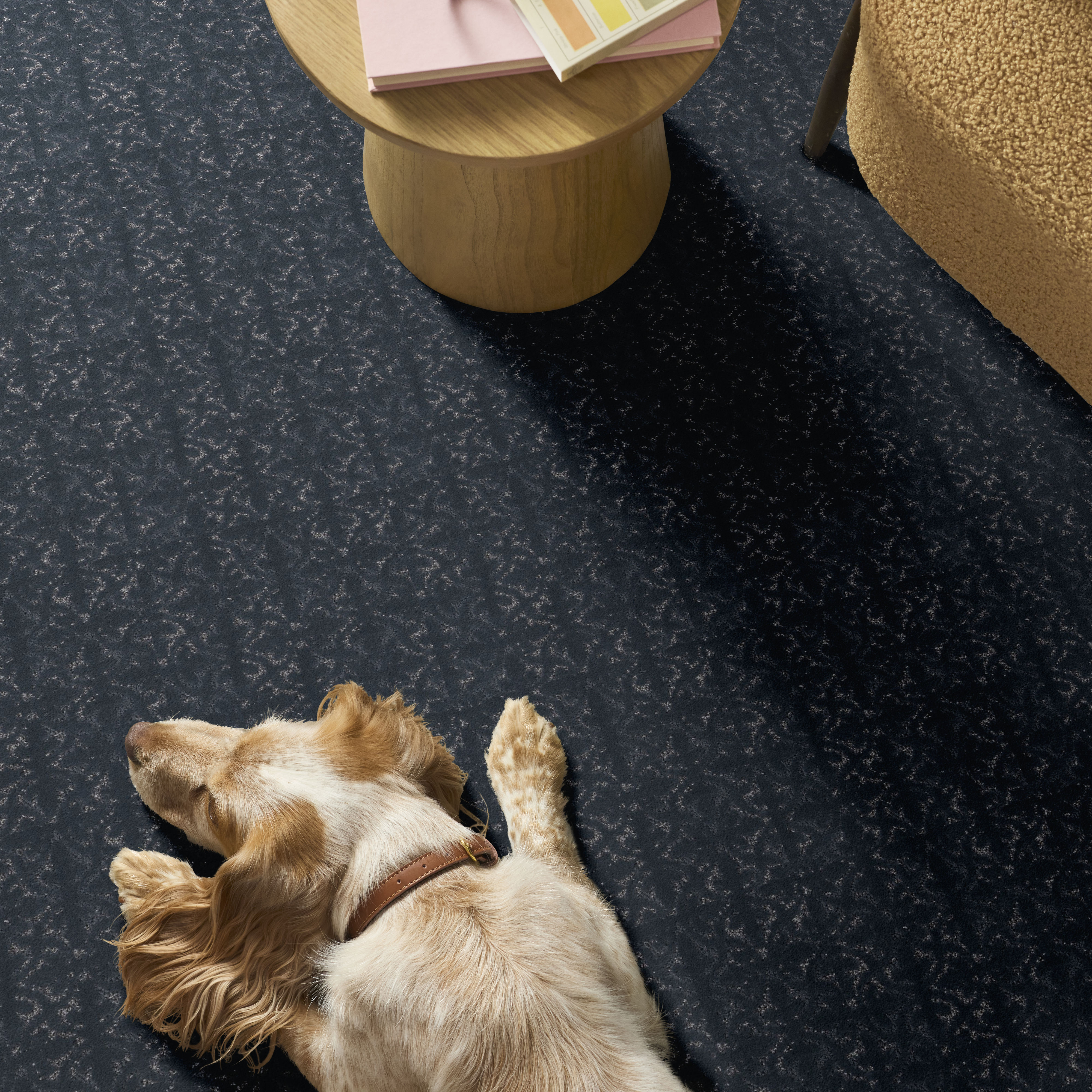 LIGHT IMPRESSIONS REFINED ROOM