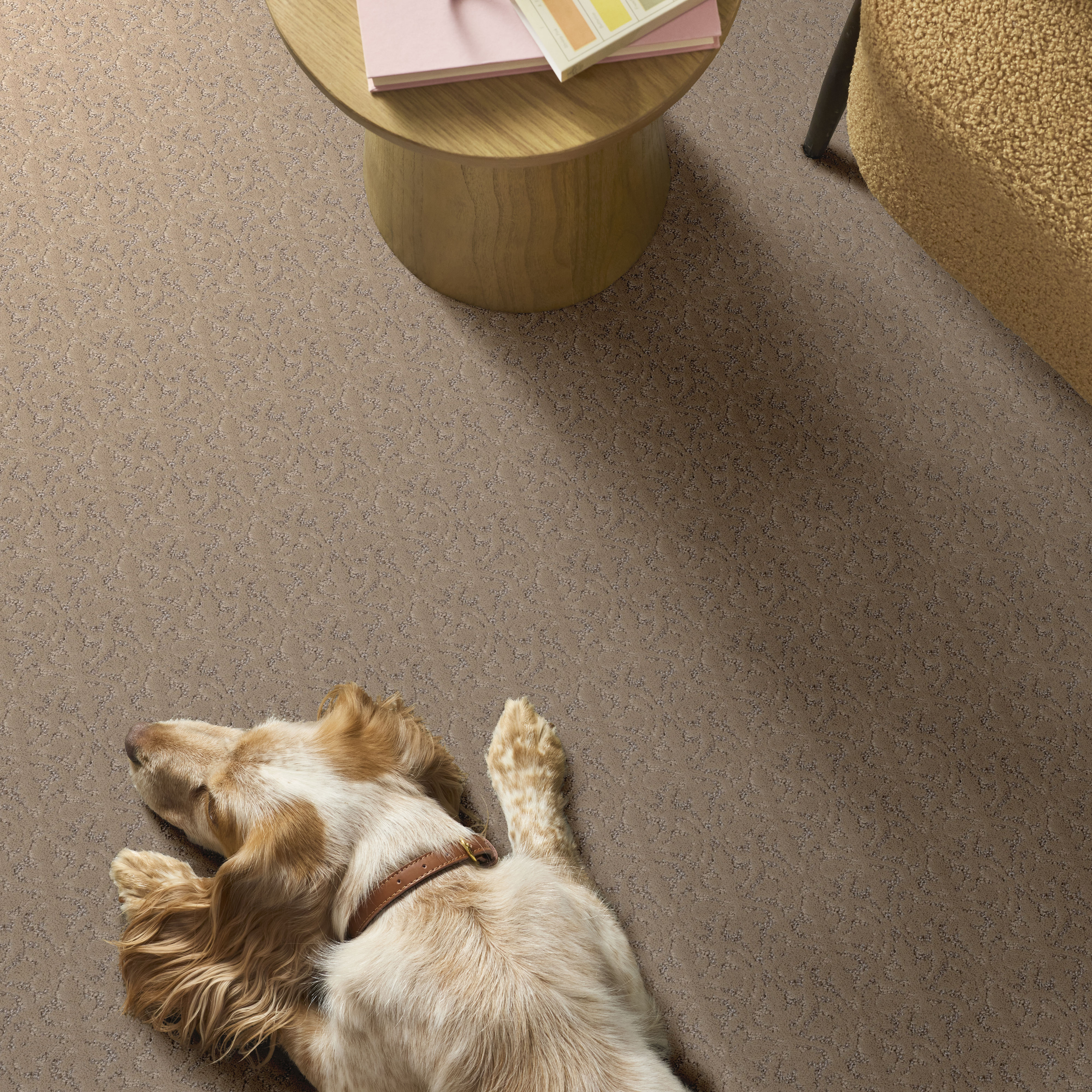 LIGHT IMPRESSIONS WORN PATH ROOM