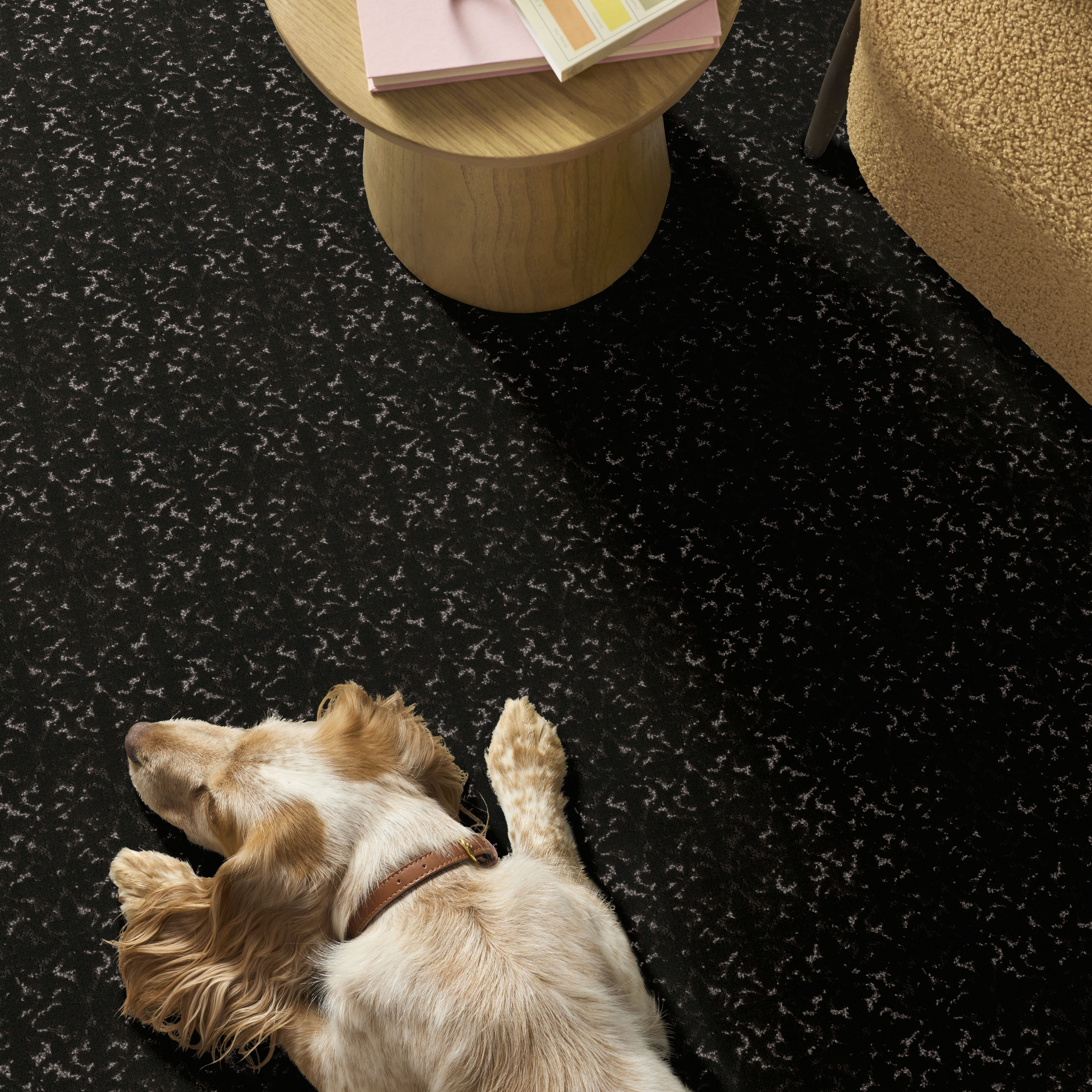 LIGHT IMPRESSIONS CAFE NOIR ROOM