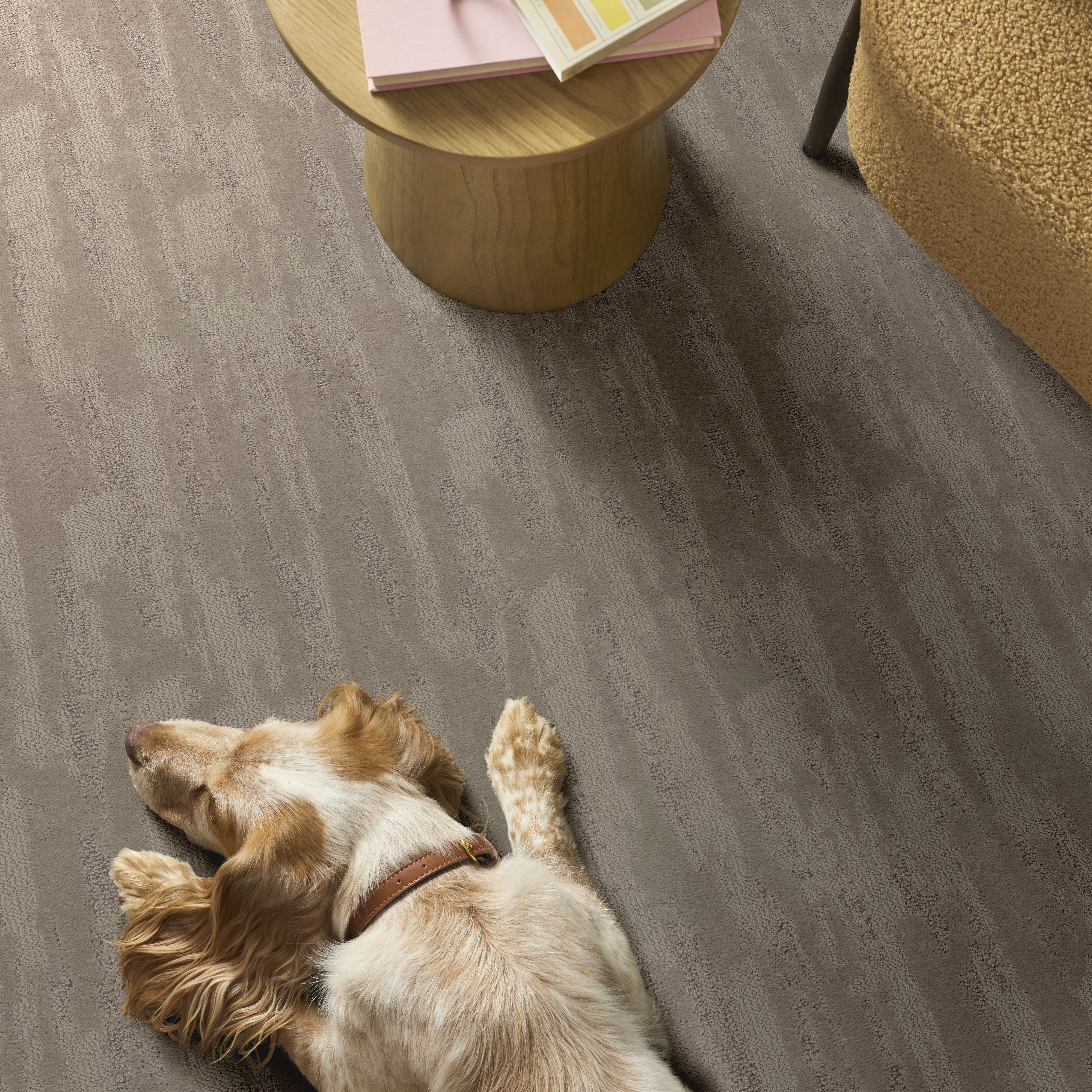 Tranquil Spirit CHIC GREIGE ROOM