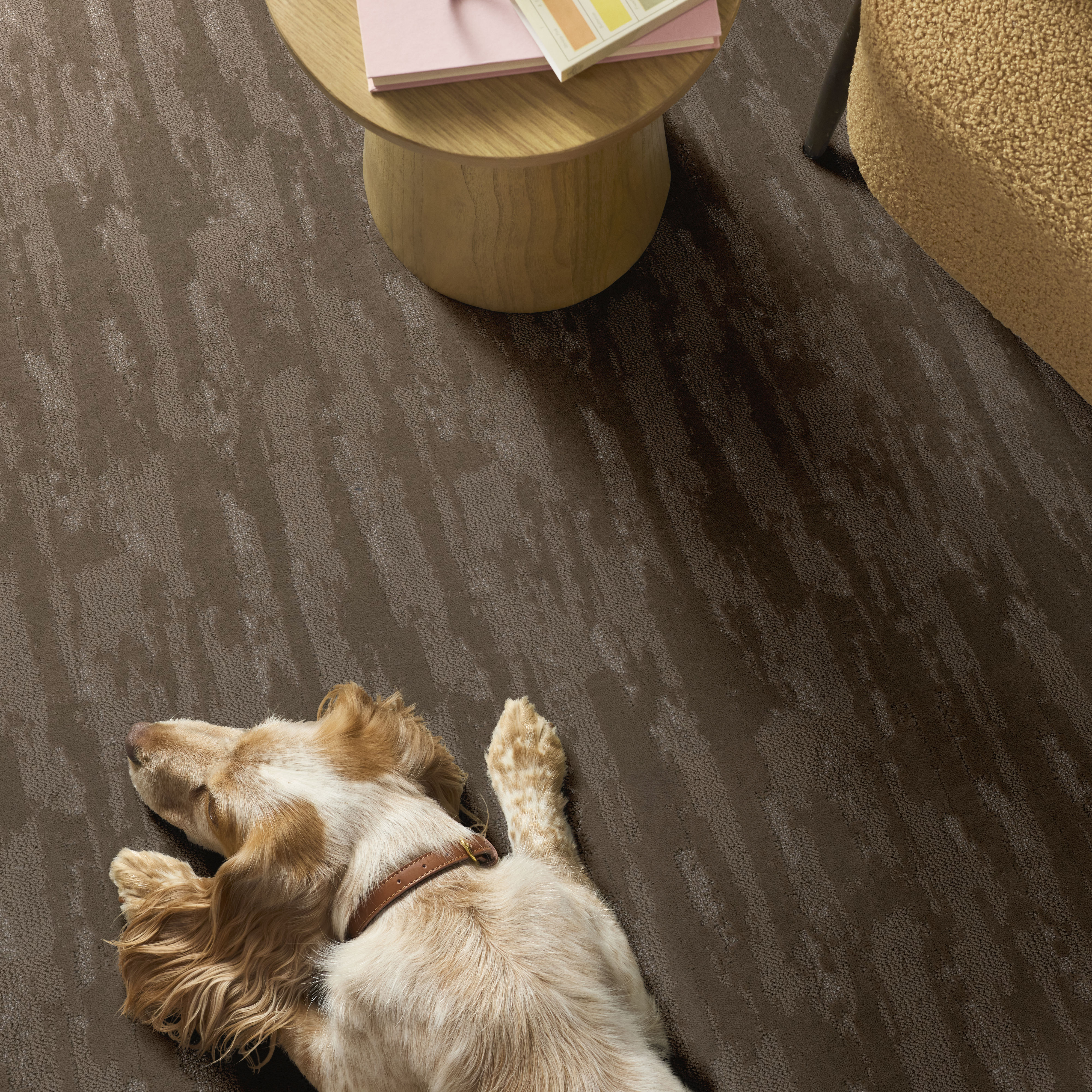 Tranquil Spirit CAMEO ROOM