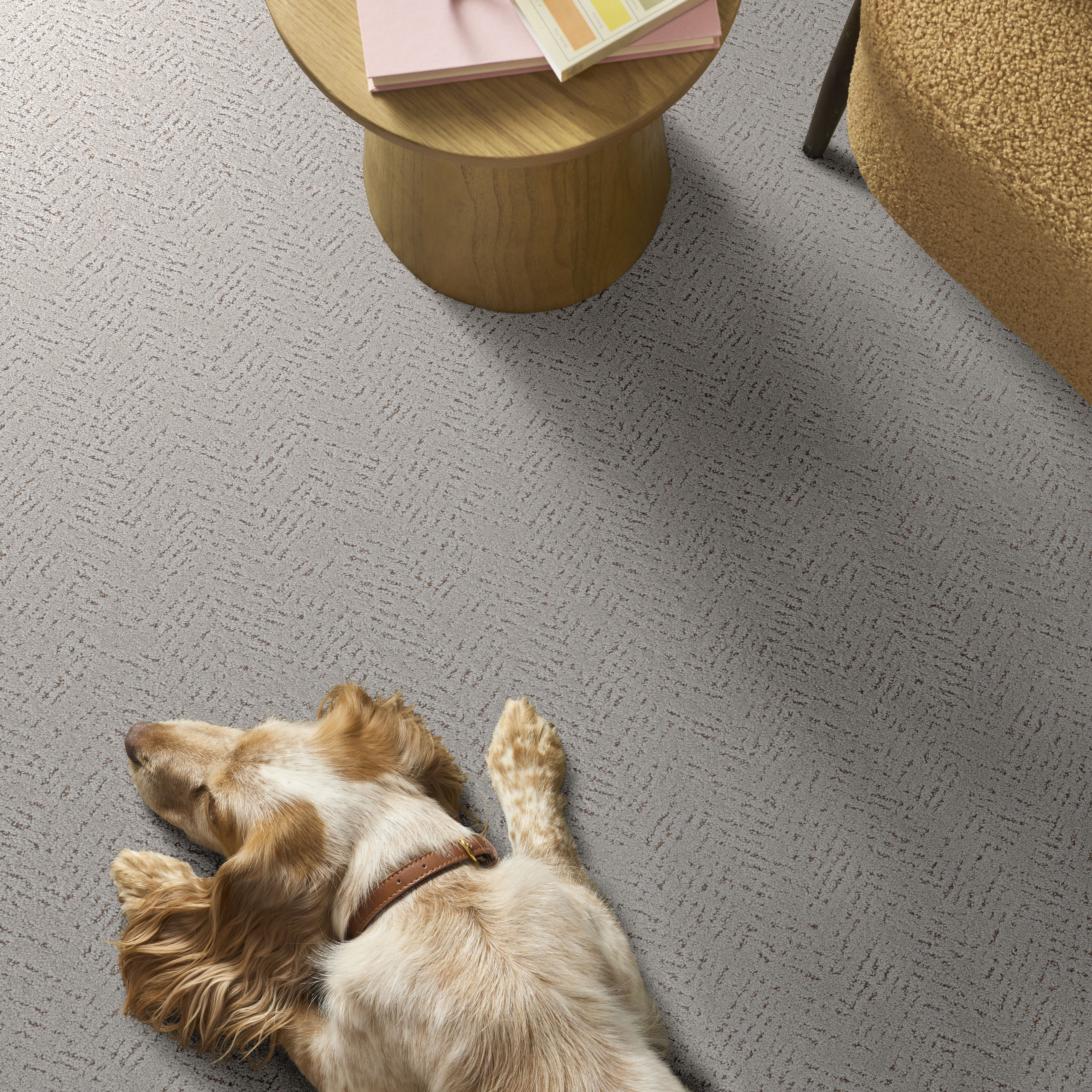 FAVOURED PATH CASHMERE ROOM