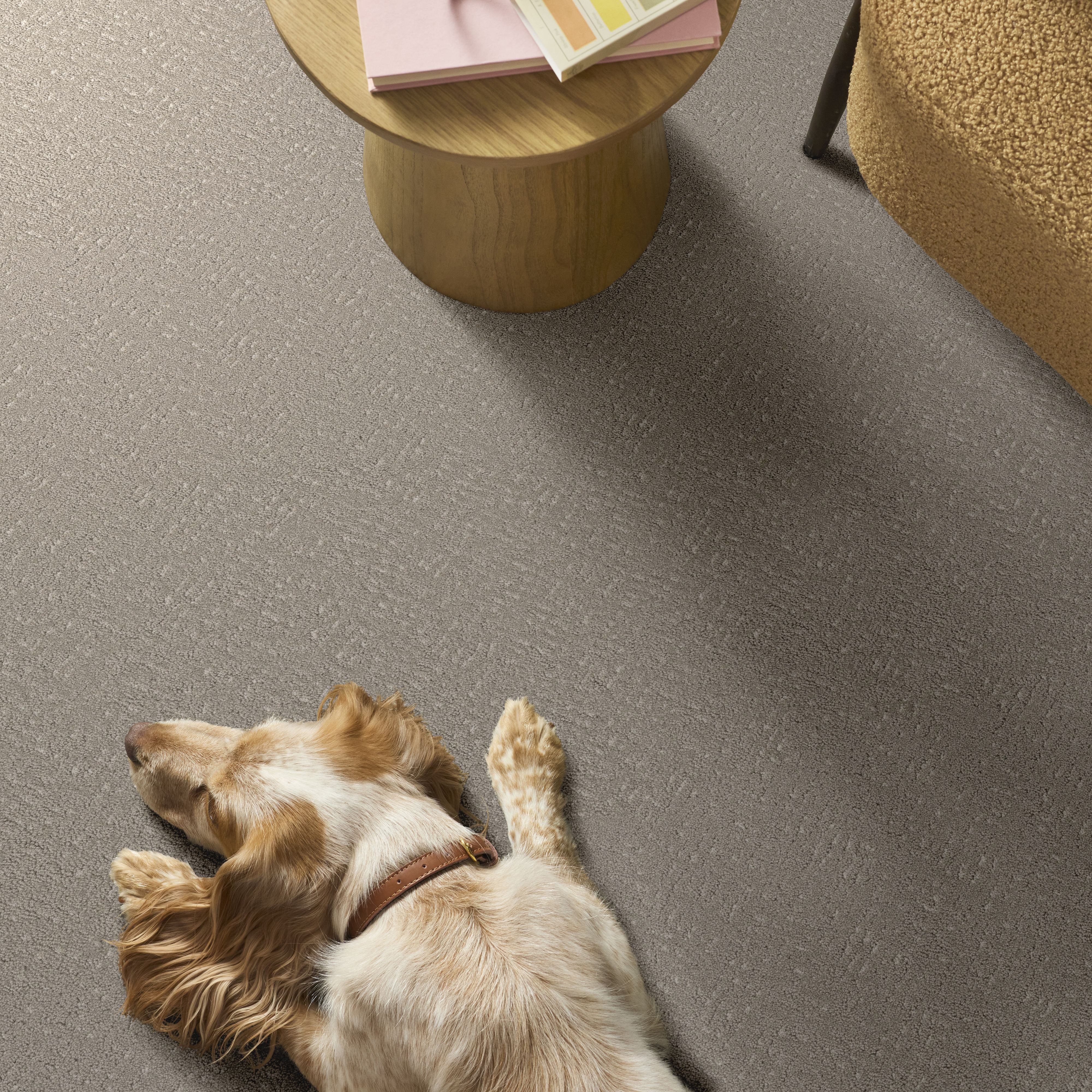 FAVOURED PATH SCULPTURE ROOM