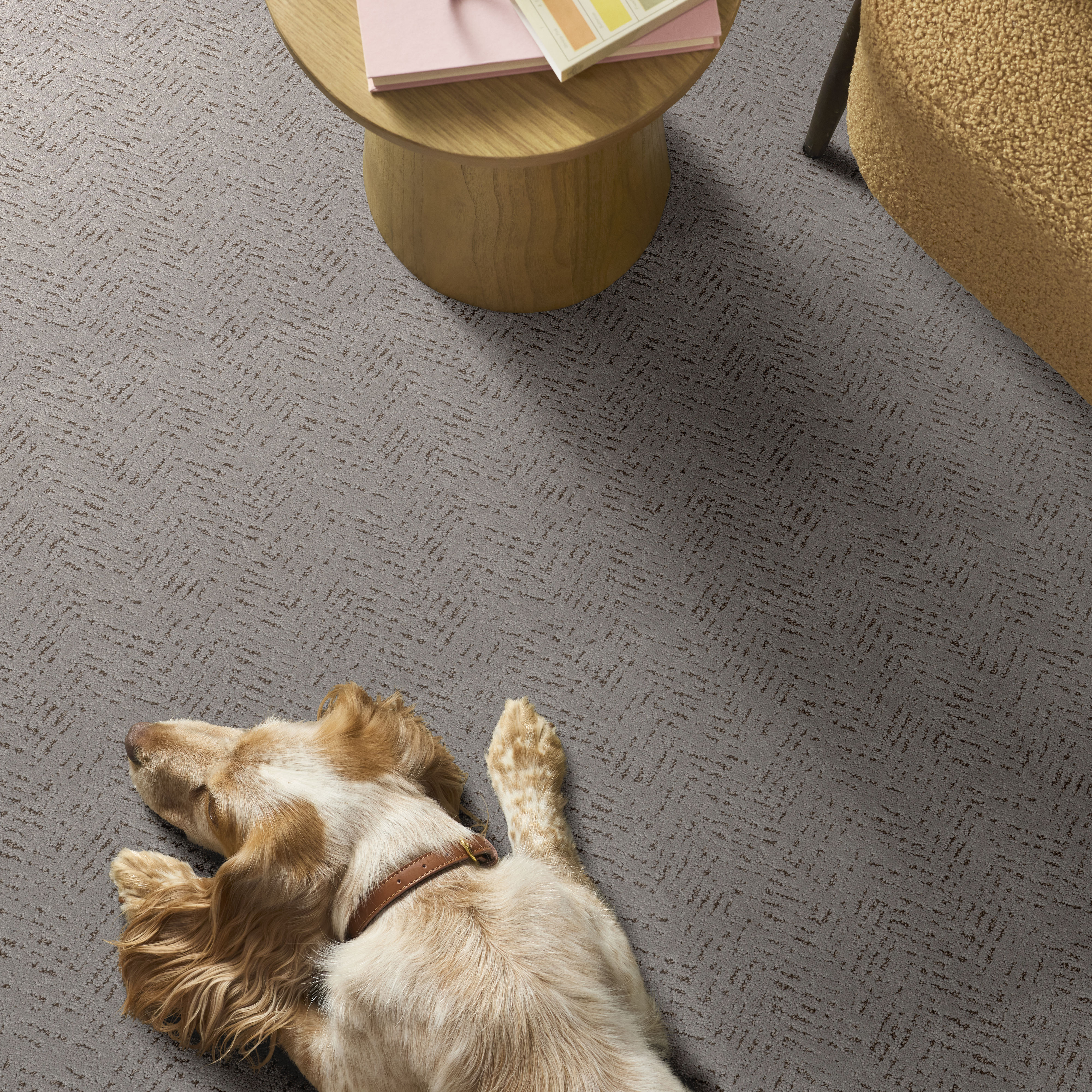 FAVOURED PATH GRAVITY ROOM