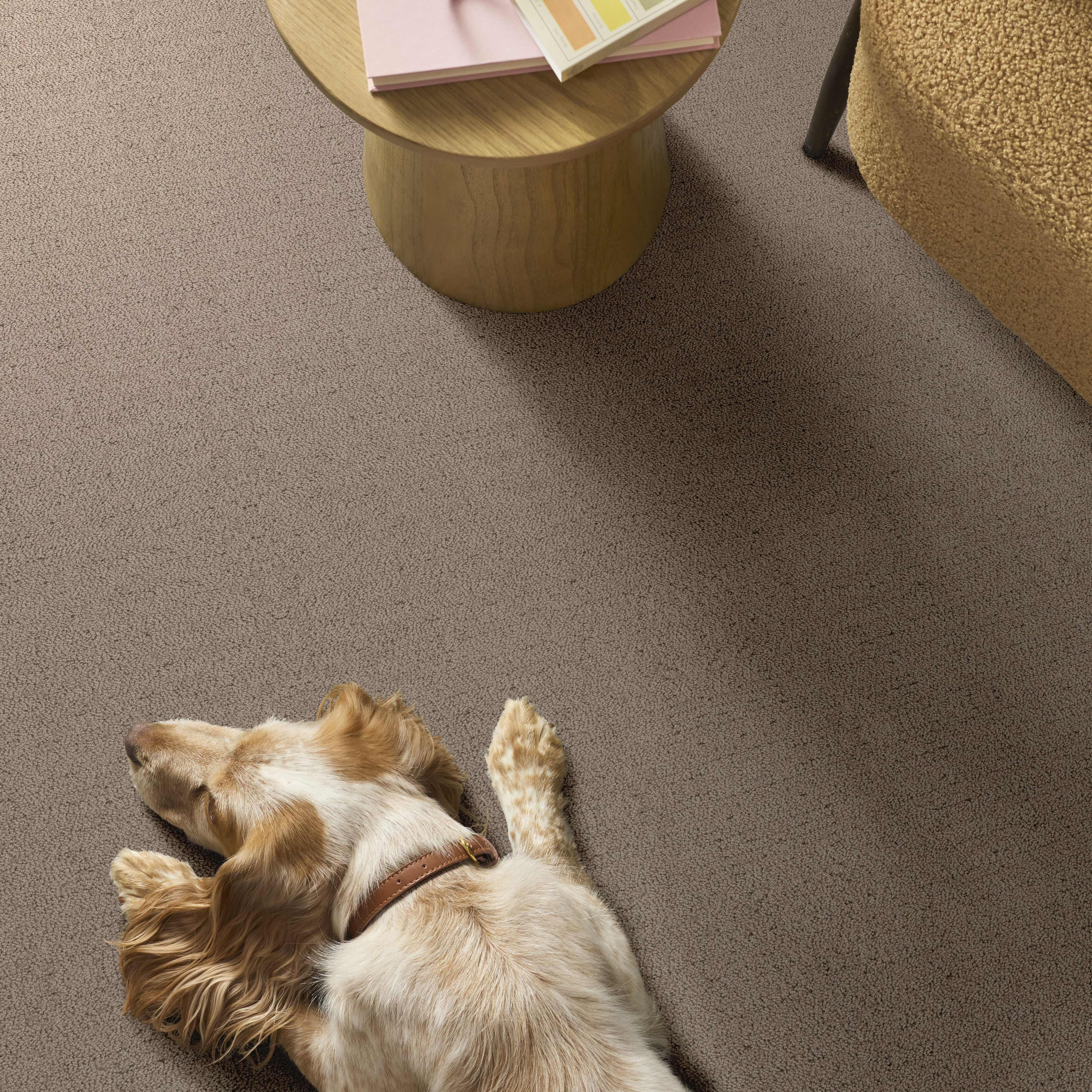 Intricate Trace CAMEO ROOM