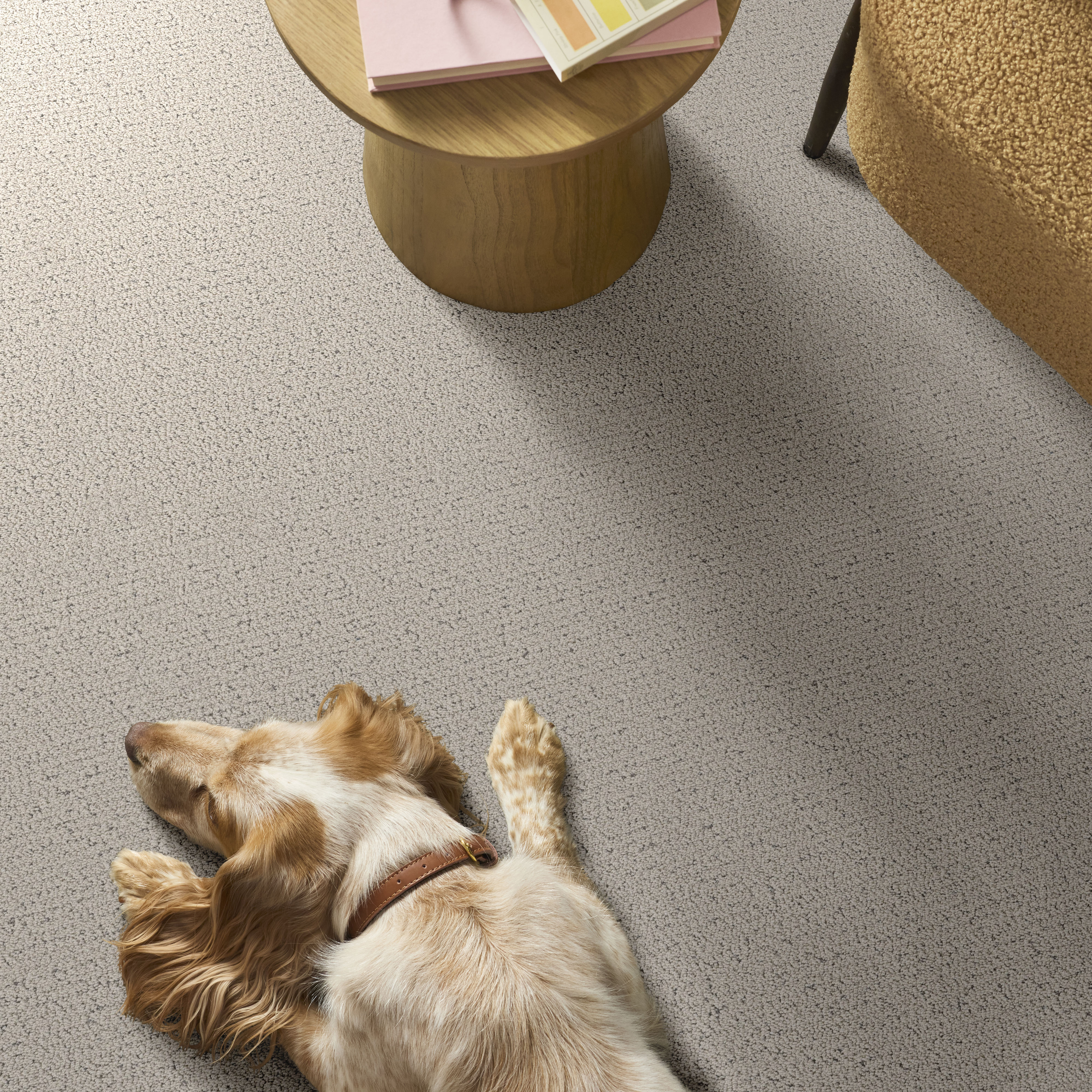 Intricate Trace SNOWFALL ROOM