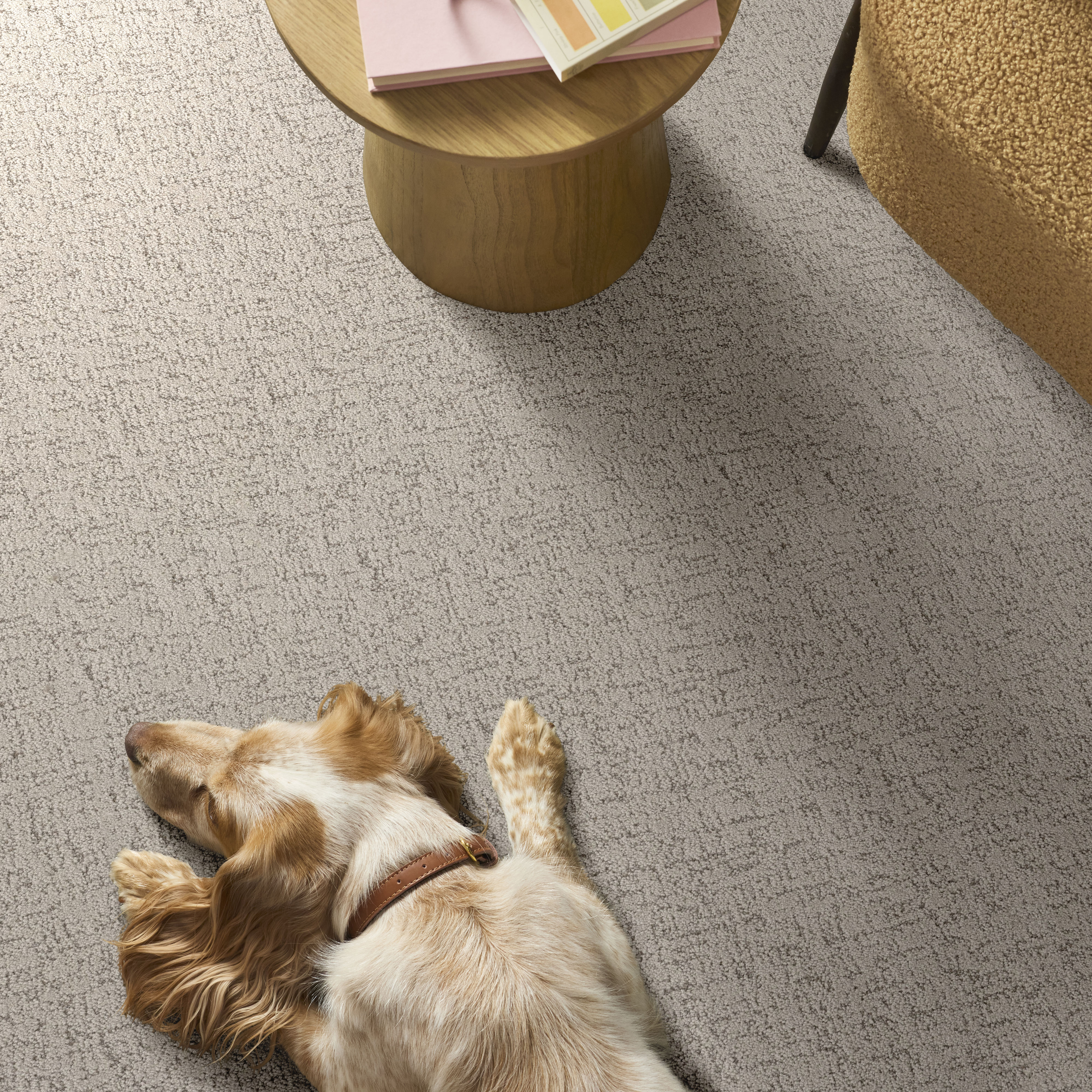 Run Free ALMOND SILK ROOM