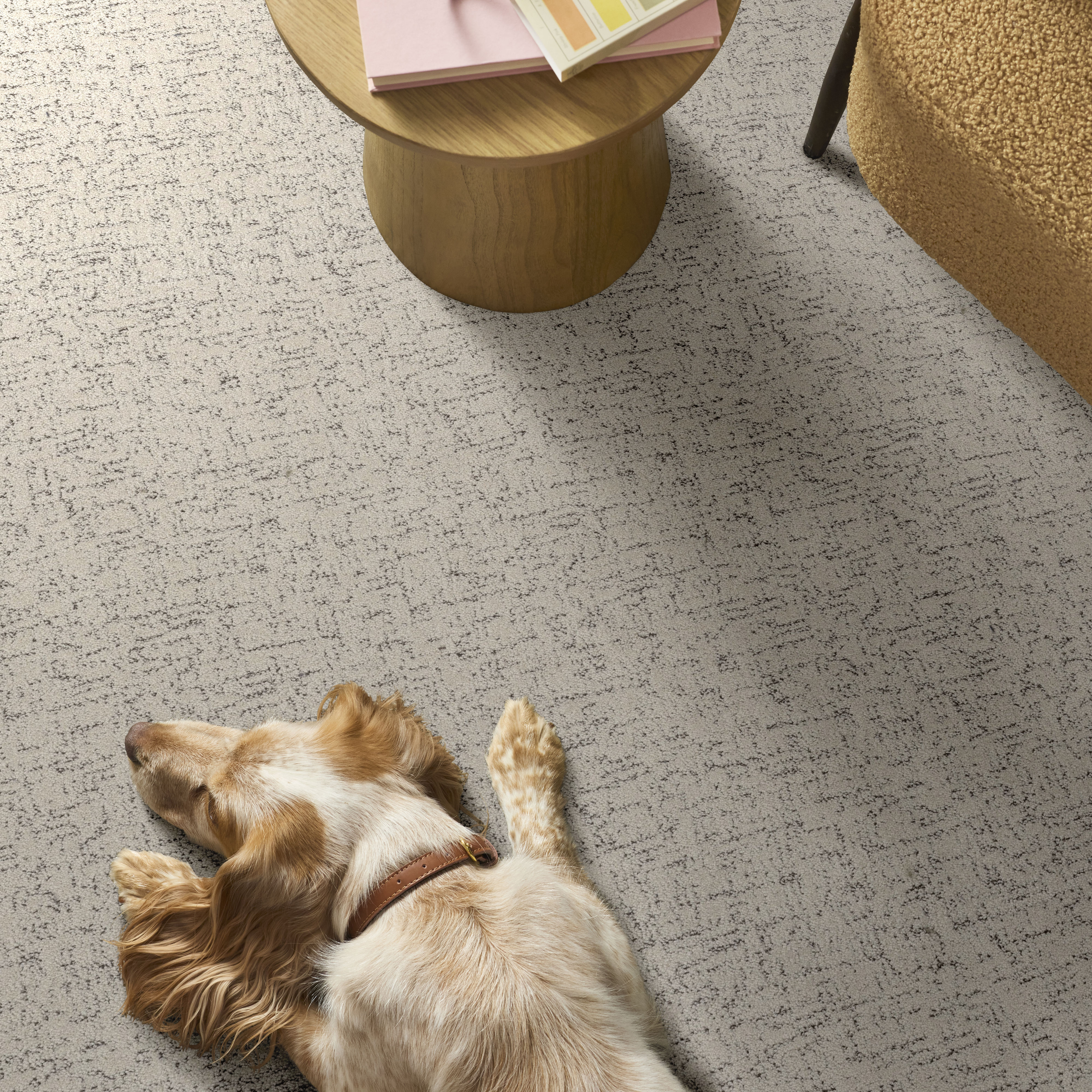 Run Free MARBLE ROOM