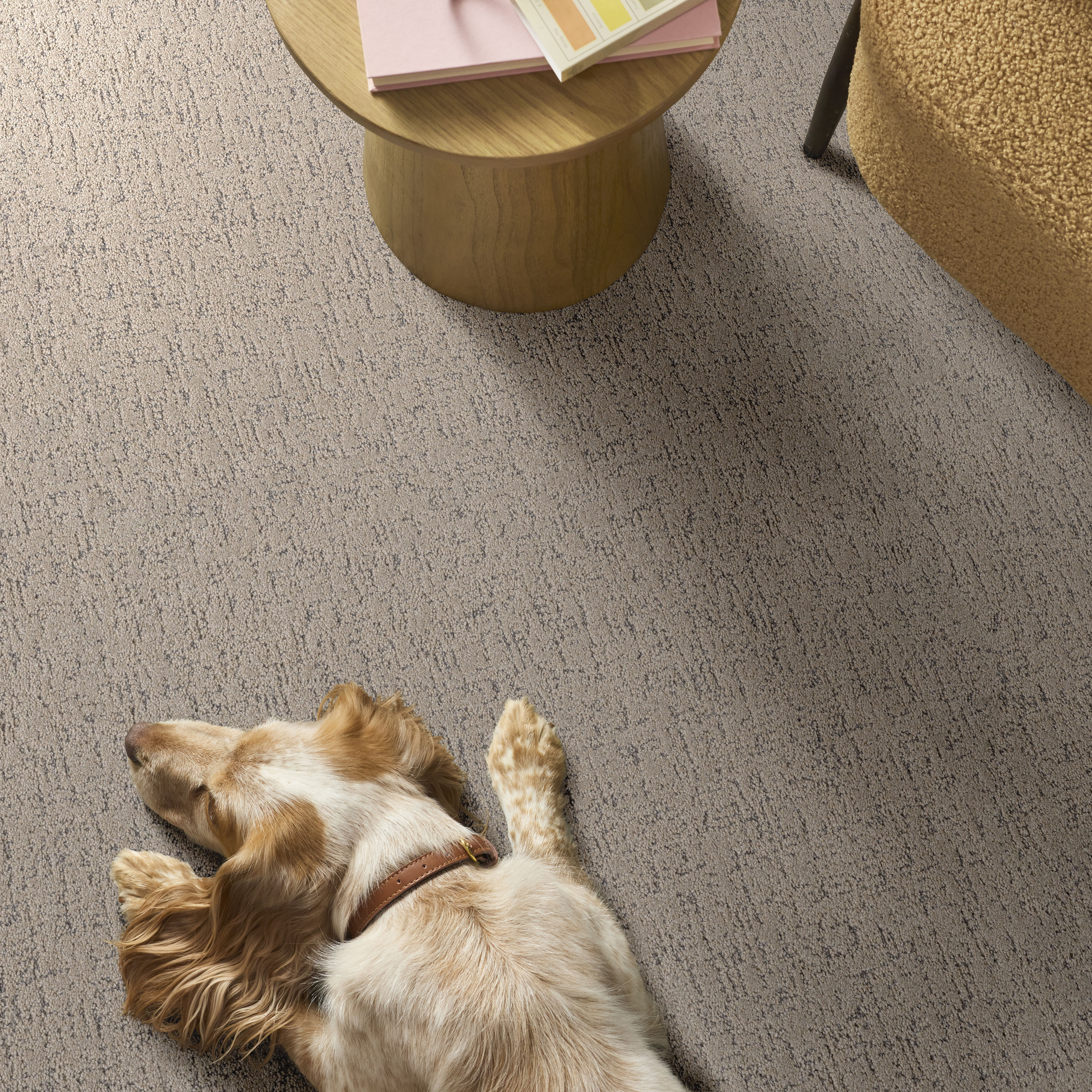 Run Free WARM LIGHT ROOM