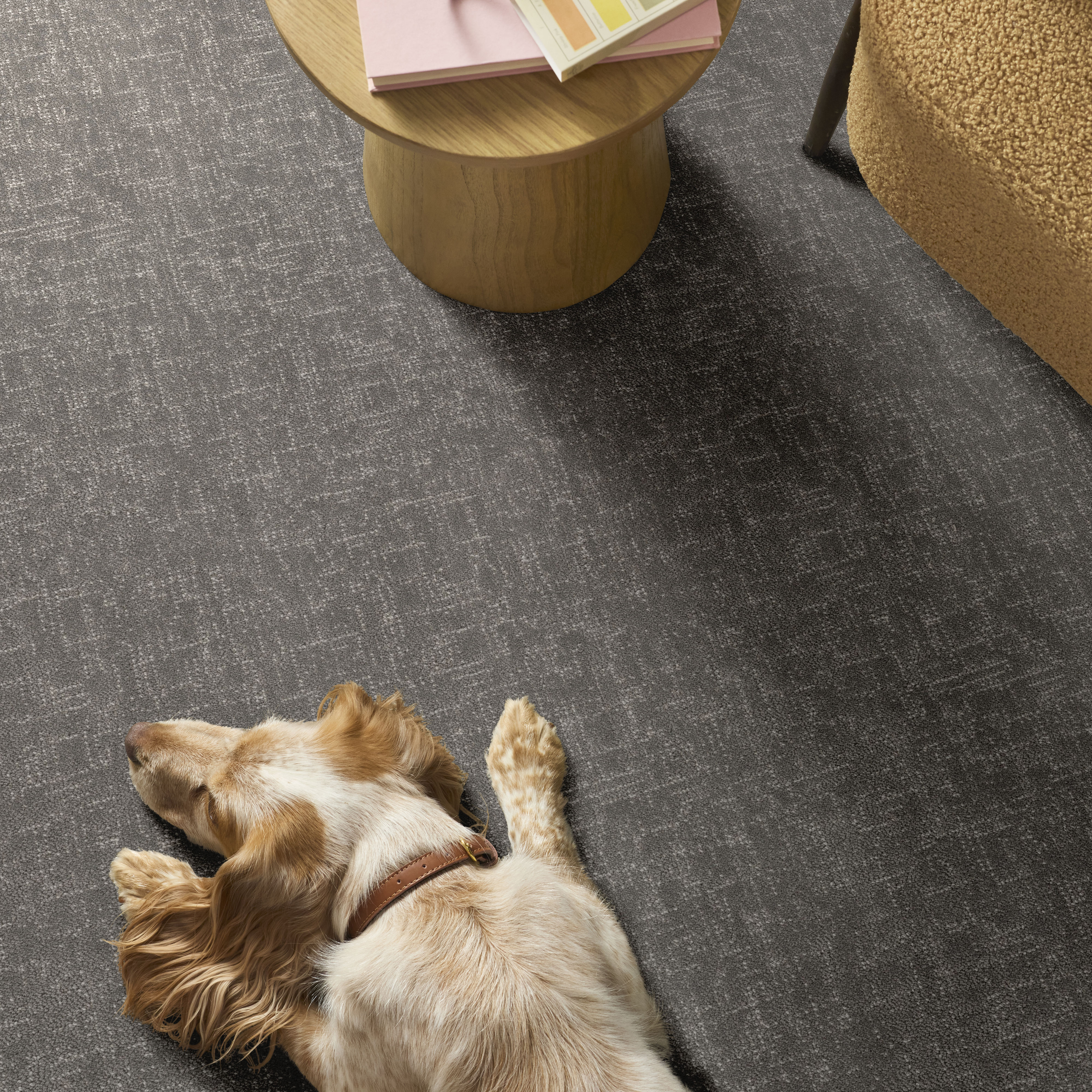 Run Free VINTAGE ROOM