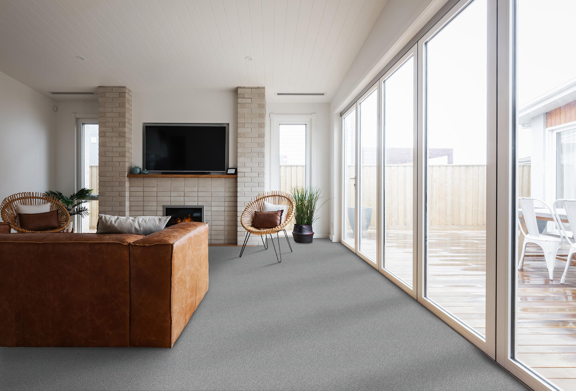 TONAL COMFORT BLUE DOLPHIN SIGHTING ROOM