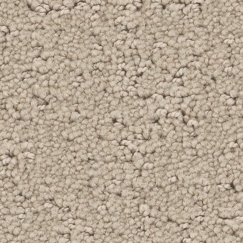 CANVAS COMFORT in My Haven by Shaw Floors