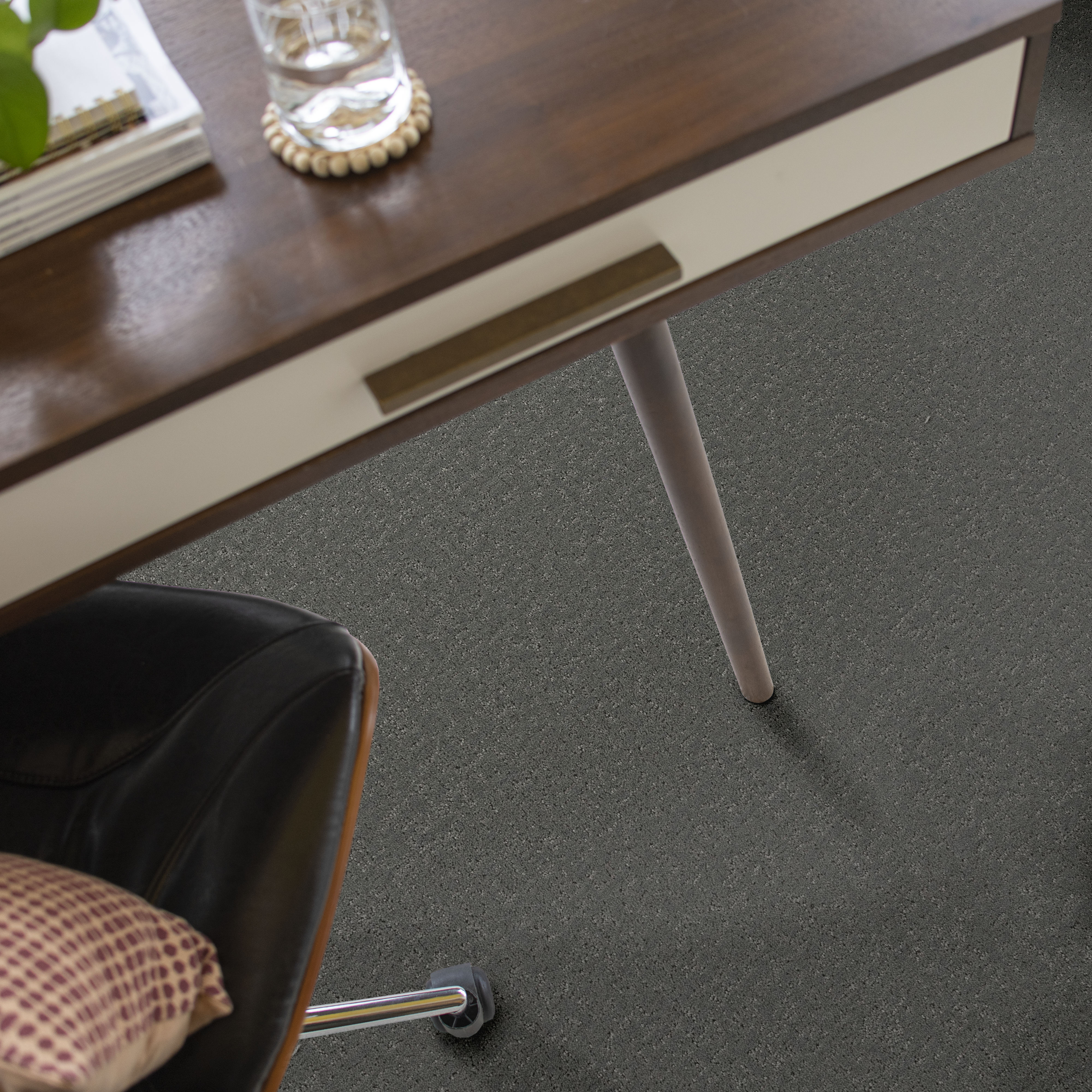 CANVAS COMFORT BLUE DOLPHIN SIGHTING ROOM